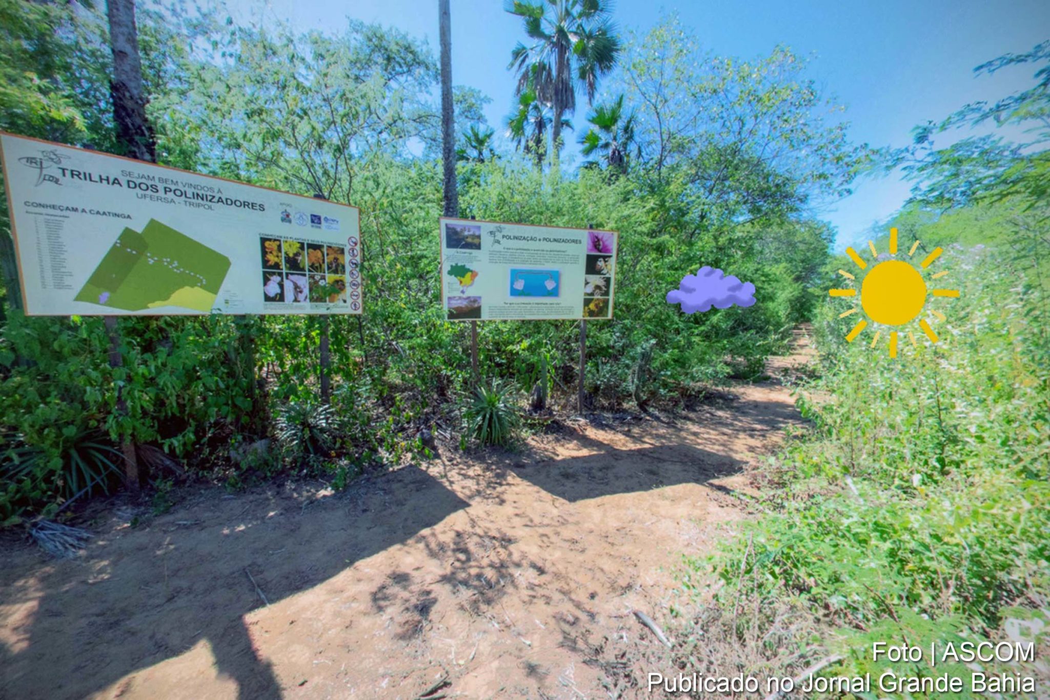 Realidade virtual faz pessoas andarem por trilhas da Caatinga