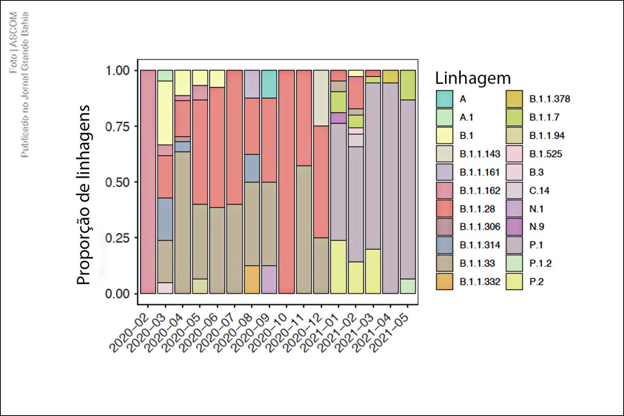 Tabela apresenta variantes do coronavírus tipo SARS-CoV-2.