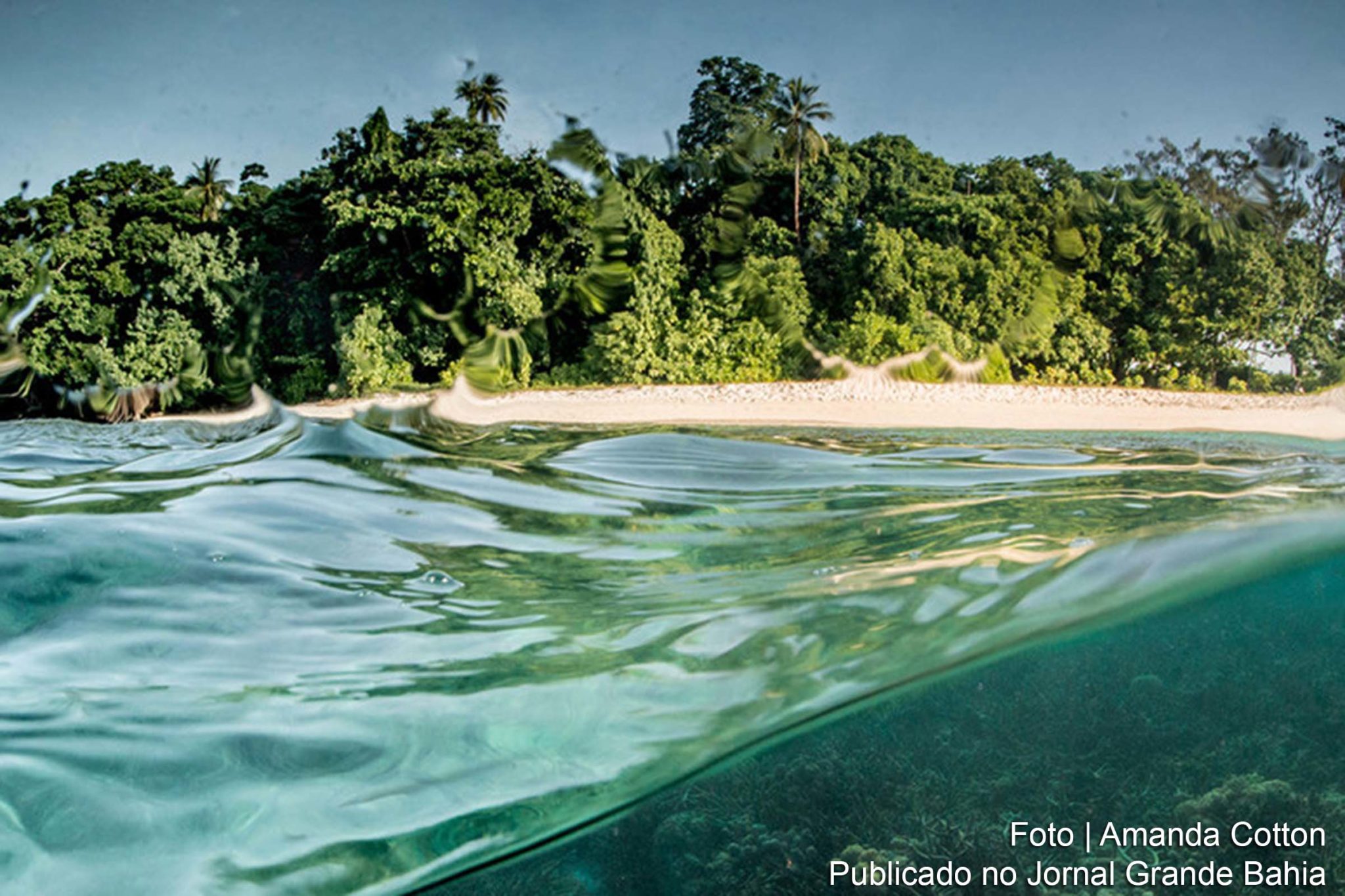 Organização celebra neste 8 de junho o Dia Mundial dos Oceanos alertando para importância da conservação e para danos da sobrepesca, que causam prejuízo anual de quase US$ 90 bilhões.