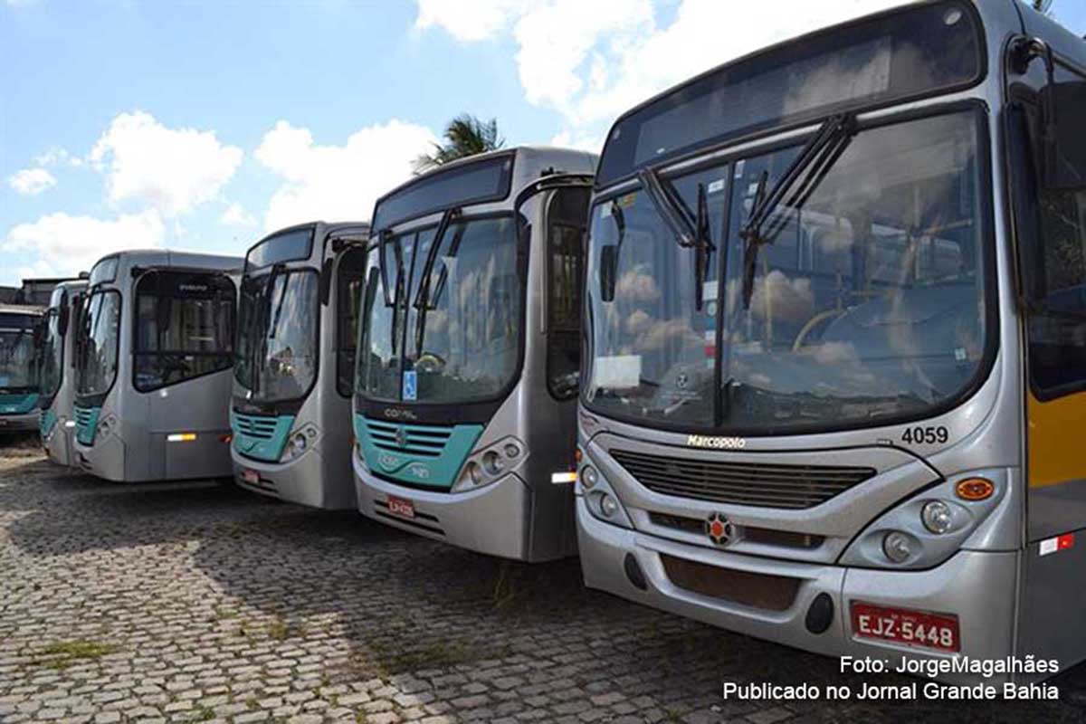 Veículos da frota de ônibus da empresa Rosa.