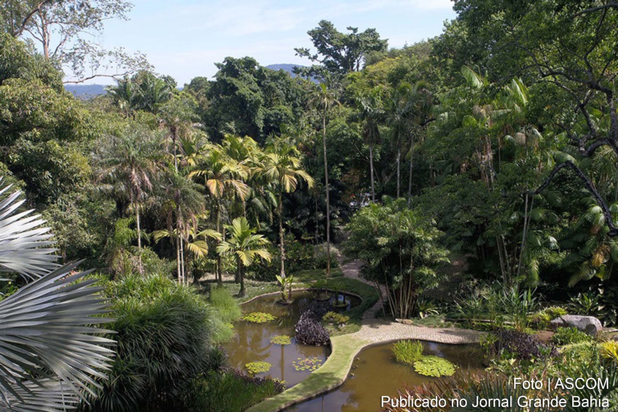 A proposta de Burle Marx era criar um “trabalho de arte vivo” e um “laboratório paisagístico”, usando plantas nativas e ideias Modernistas. Comitê da Unesco reconhece importância do projeto do paisagista e artista plástico brasileiro. Situado no Rio de Janeiro, é o primeiro jardim tropical moderno a ganhar o título de patrimônio da humanidade.
