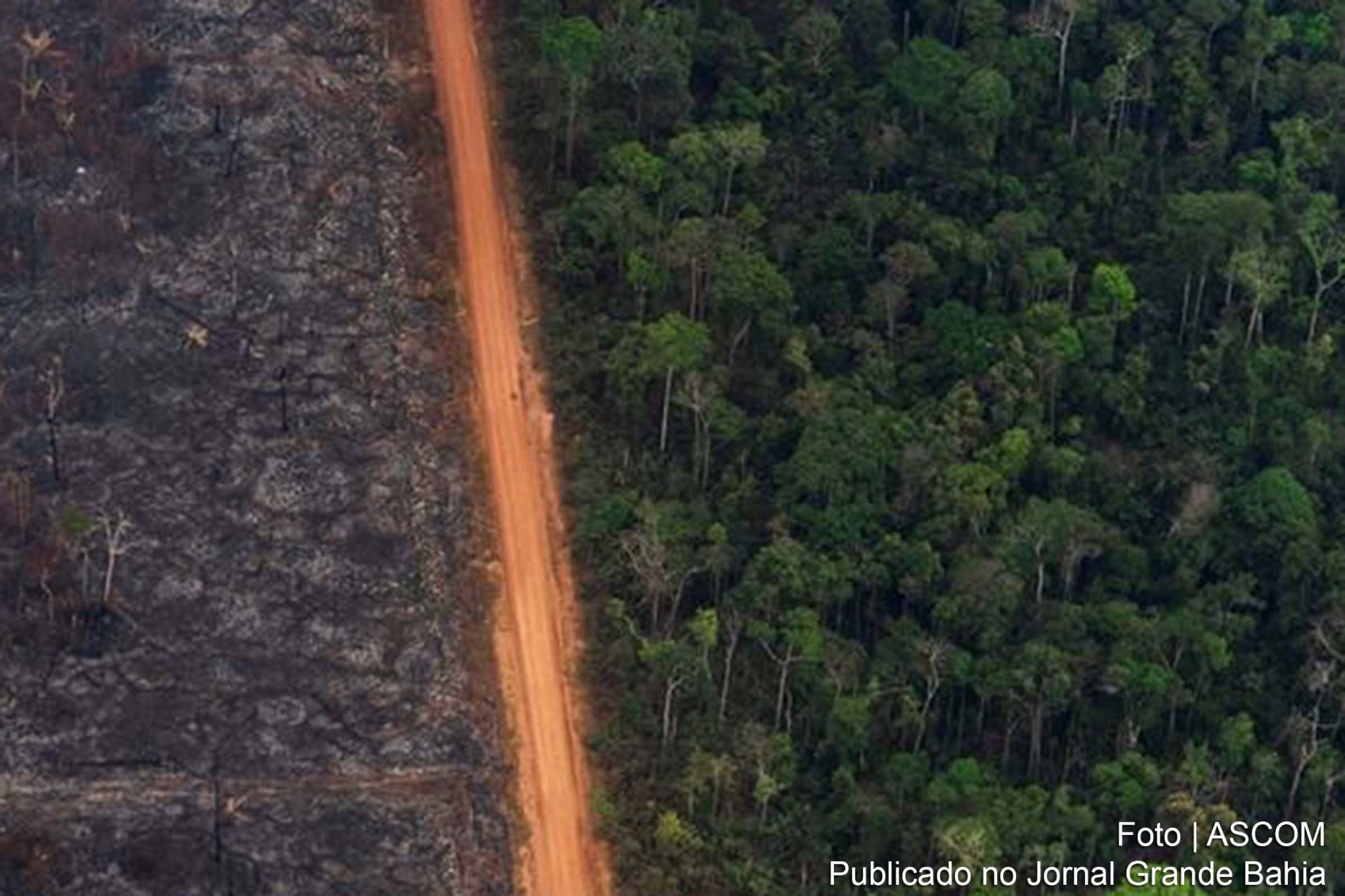 De acordo com relatório do Mapbiomas, 99% do desmatamento ocorrido no Brasil em 2020 foi ilegal. Pesquisas ligam avanço da agropecuária em biomas como Amazônia e Cerrado a estiagem e alta nas temperaturas, o que, segundo cientistas, reduz a produtividade e resulta em bilhões de dólares de prejuízo por ano ao setor.