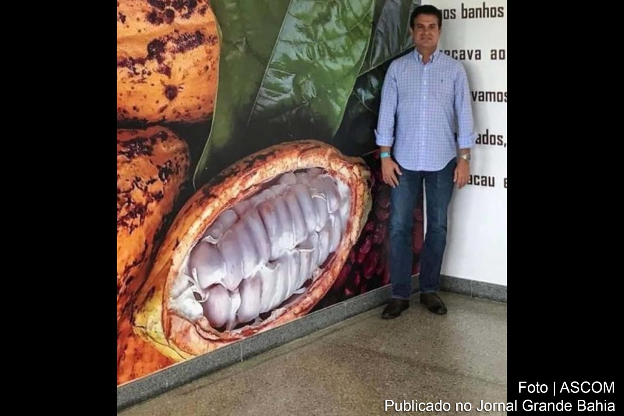 Monilíase do cacaueiro é um risco à agropecuária da Bahia, alerta deputado Eduardo Salles