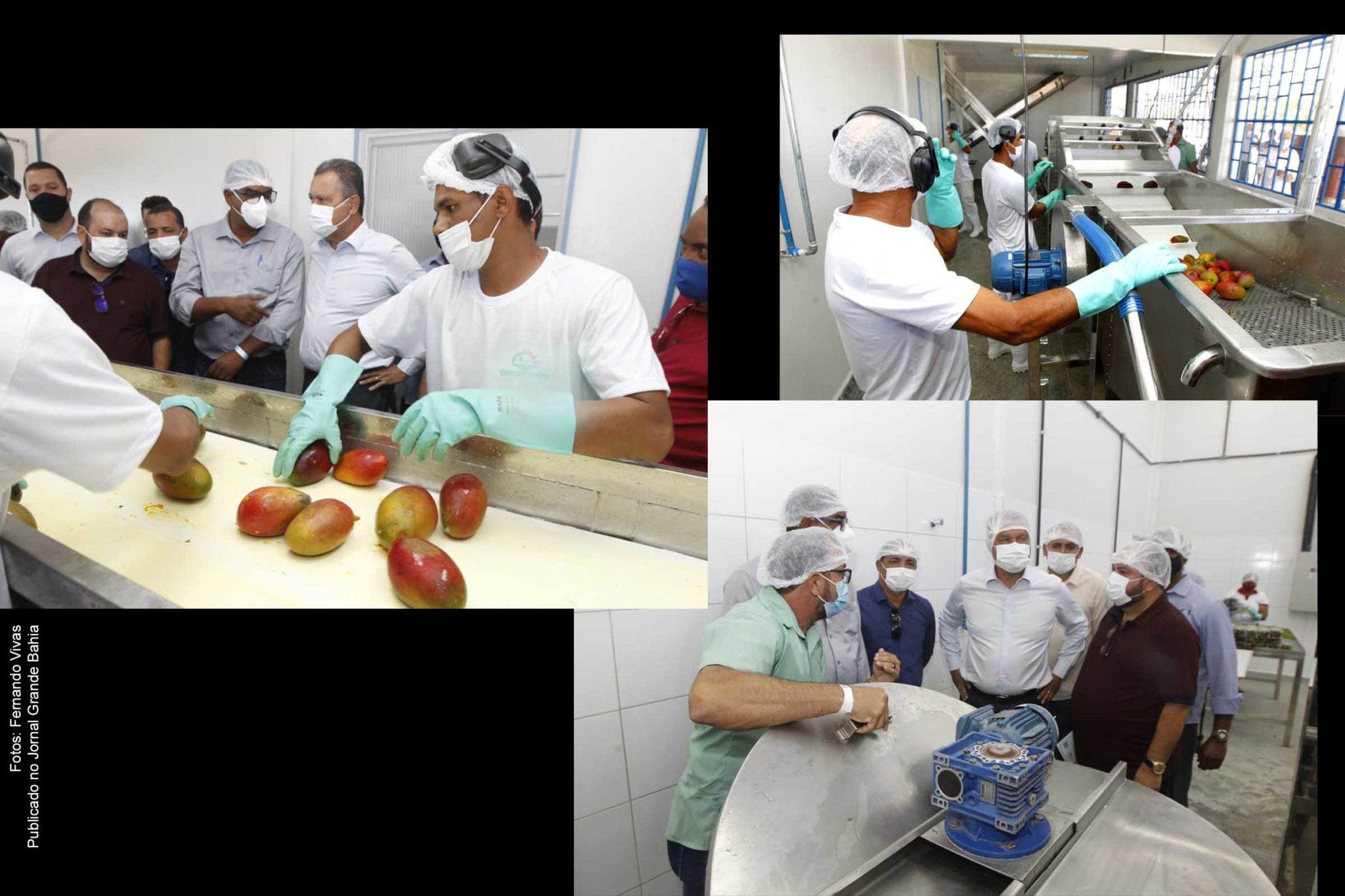 Governador Rui Costa visita Agroindústria Polivalente de Frutas, em Sobradinho. A empresa recebeu investimento de R$ 6,2 milhões por meio dos programas Pró-Semiárido e Bahia Produtiva.