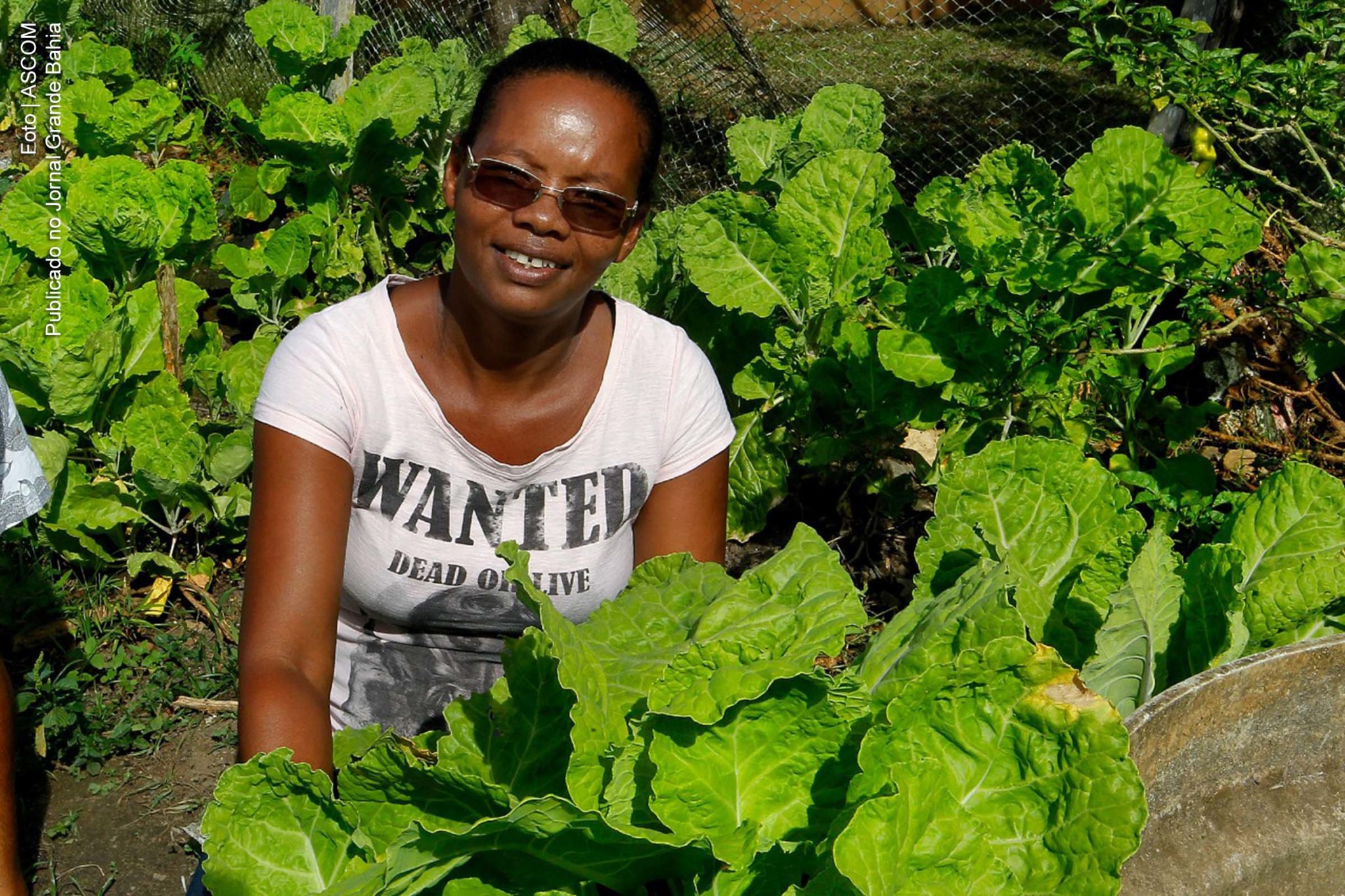 R$ 23 milhões serão investidos na economia local e familiar por meio de compras da SEC Bahia.