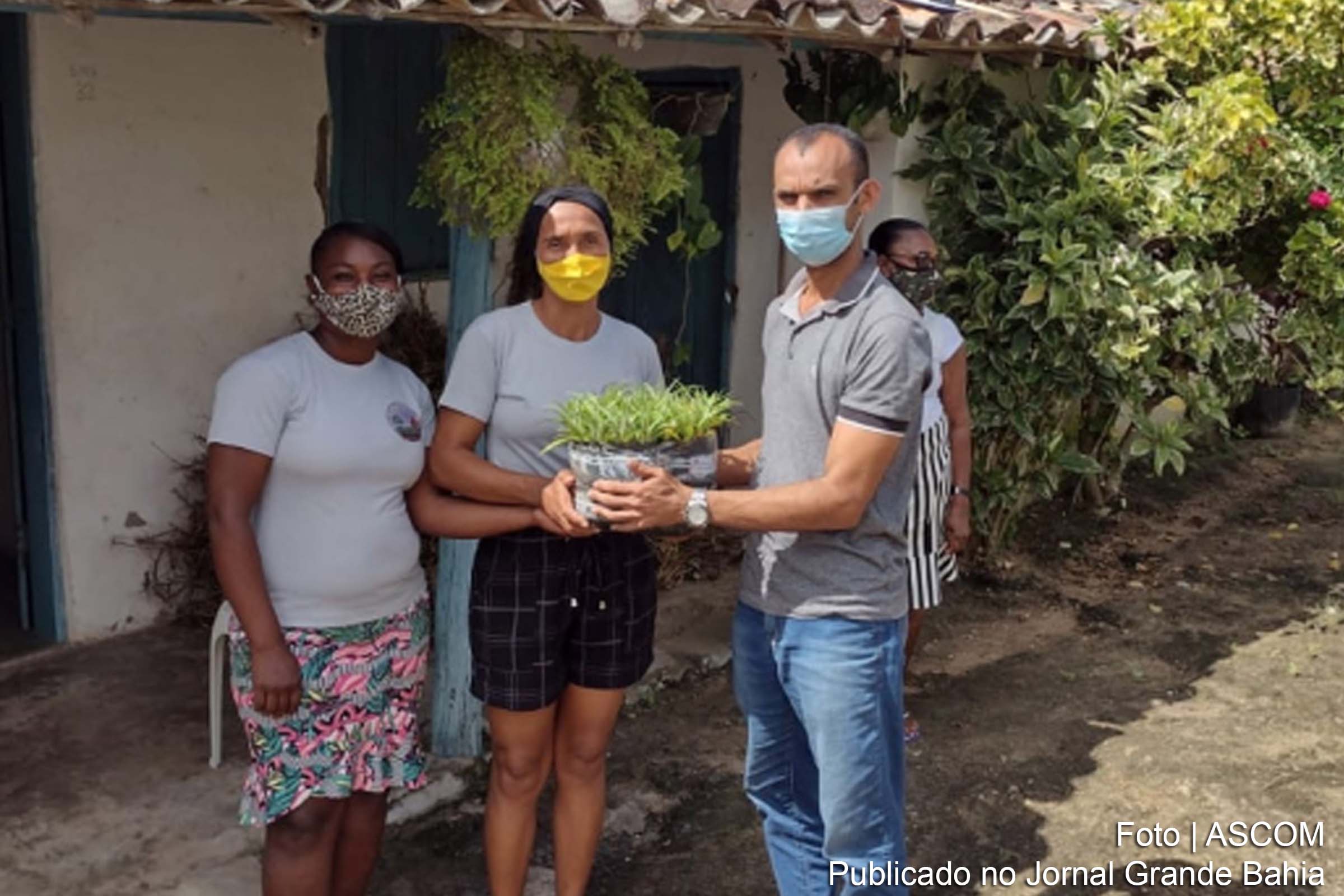 As mudas vão beneficiar em torno de 30 agricultores familiares de Feira de Santana.
