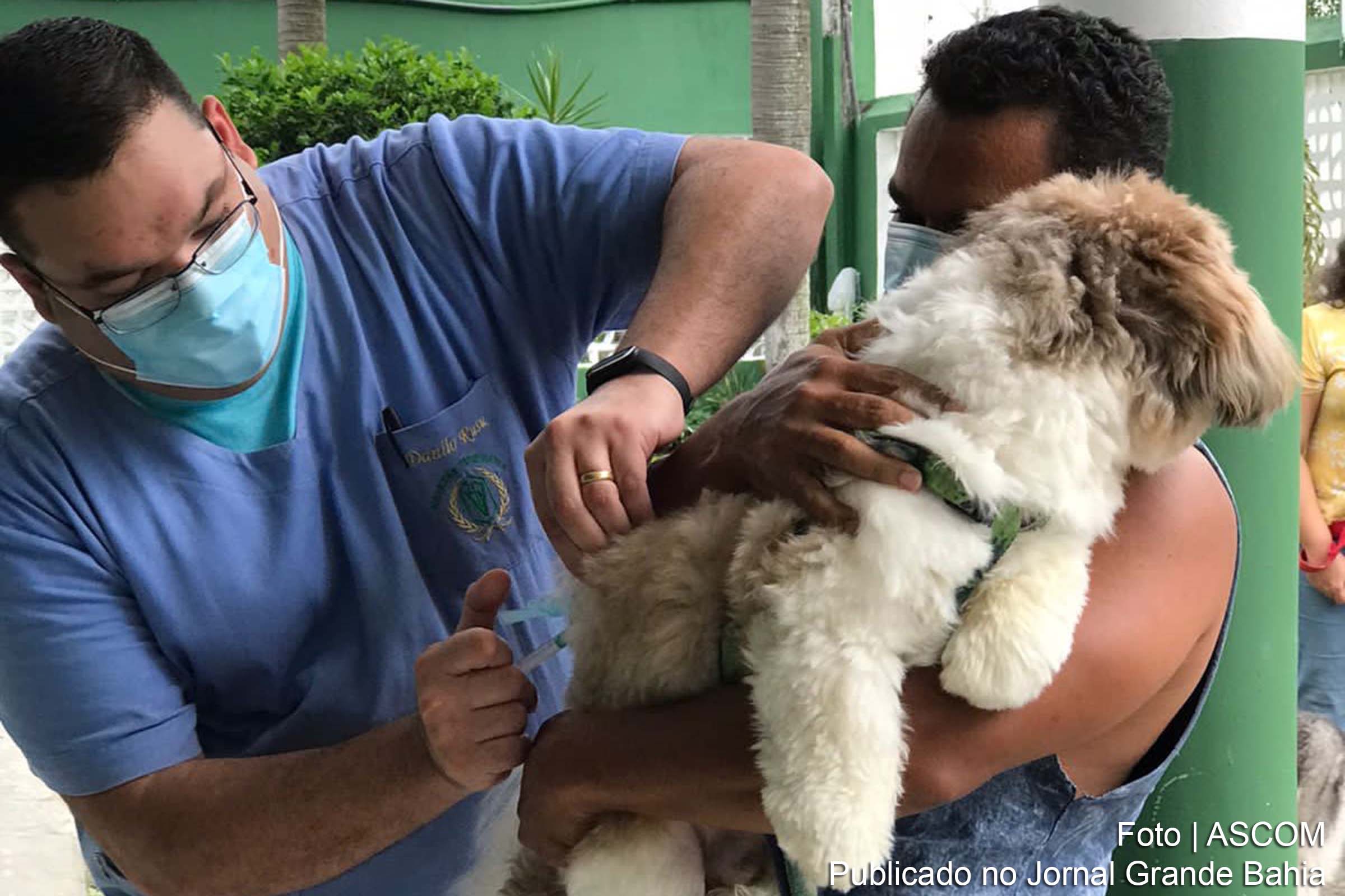 Mais de 9 mil animais foram vacinados contra a raiva animal no primeiro dia da campanha de vacinação.