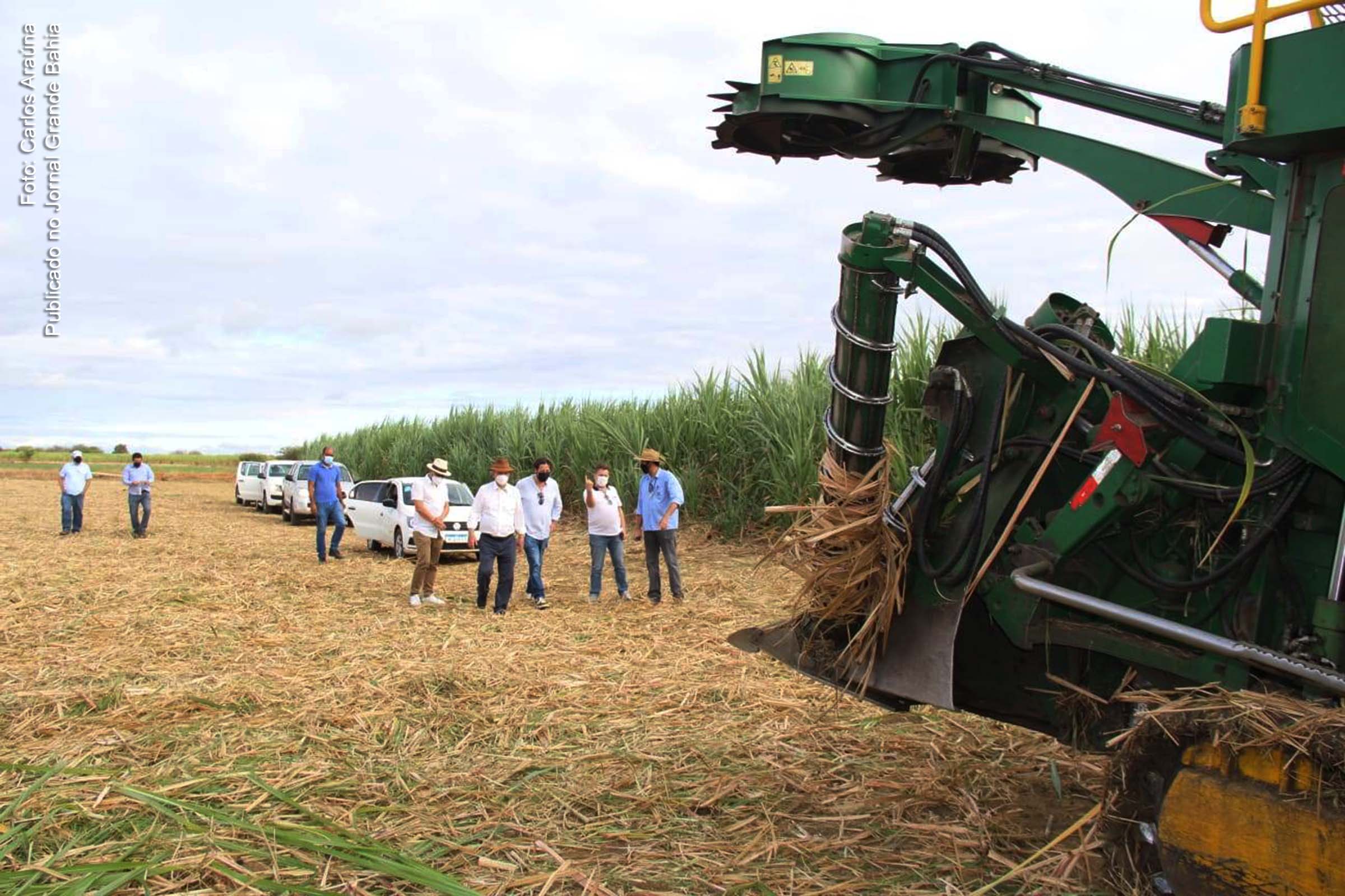 Grupo de empresário de Portugal visita projetos de fruticultura e Polo Agroindustrial da Bahia.