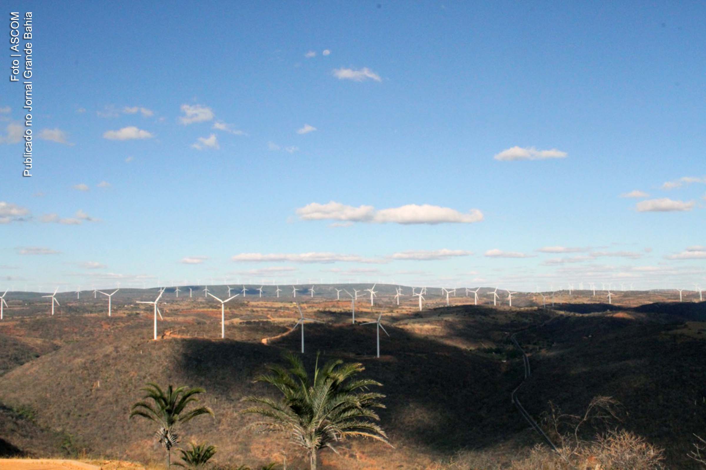 Investimento no setor de energia eólica impulsiona economia da Bahia e gera empregos.