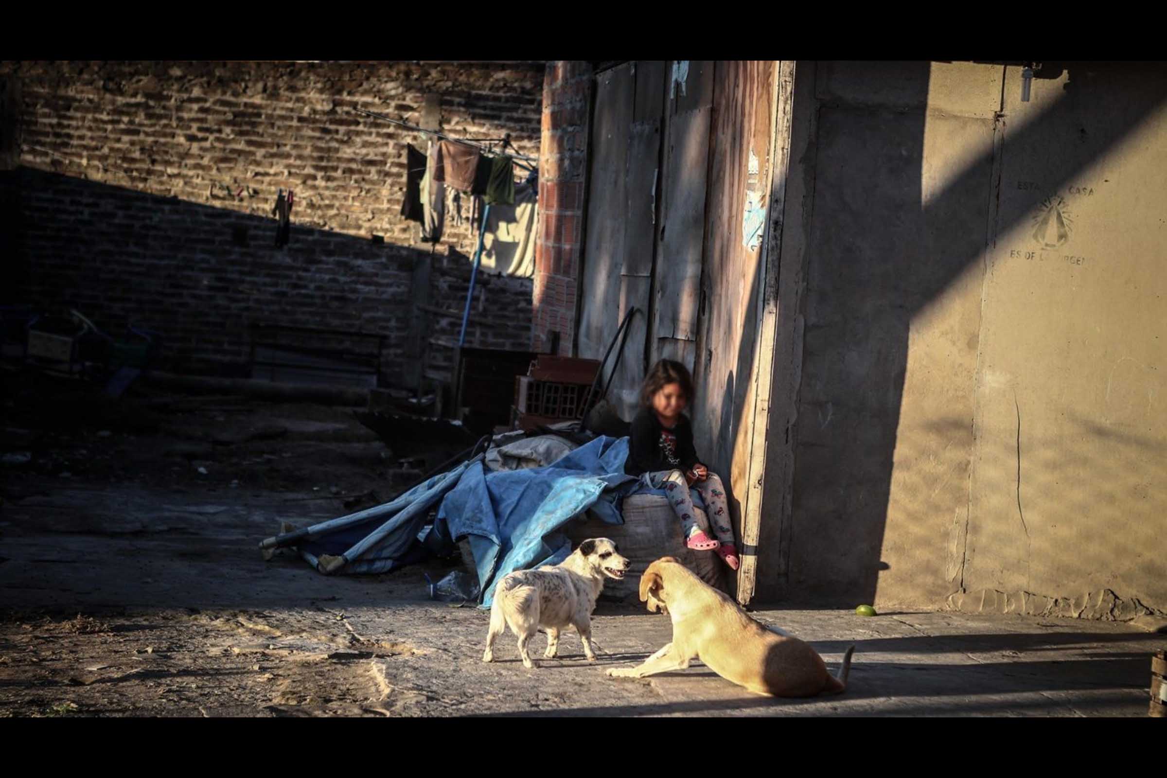 Para o Papa Francisco, meio ambiente e dignidade humana estão interligados (ANSA). Santo Padre enviou uma videomensagem aos participantes de um Congresso na Argentina, cujo tema é "O cuidado da casa comum".