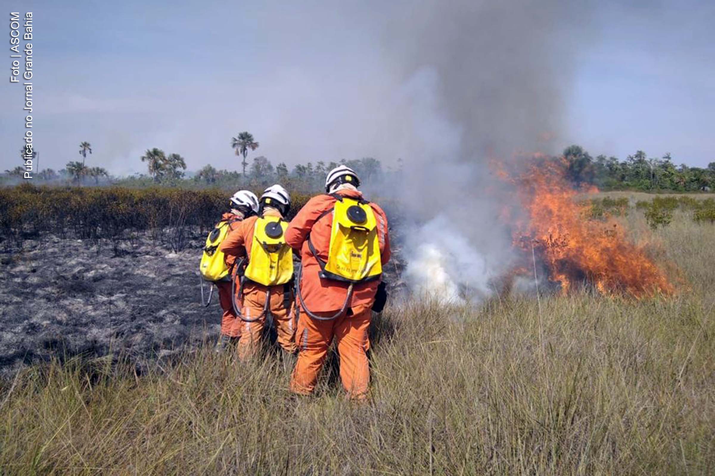 Aeronaves do Governo do Estado reforçam combate aos incêndios florestais na Bahia