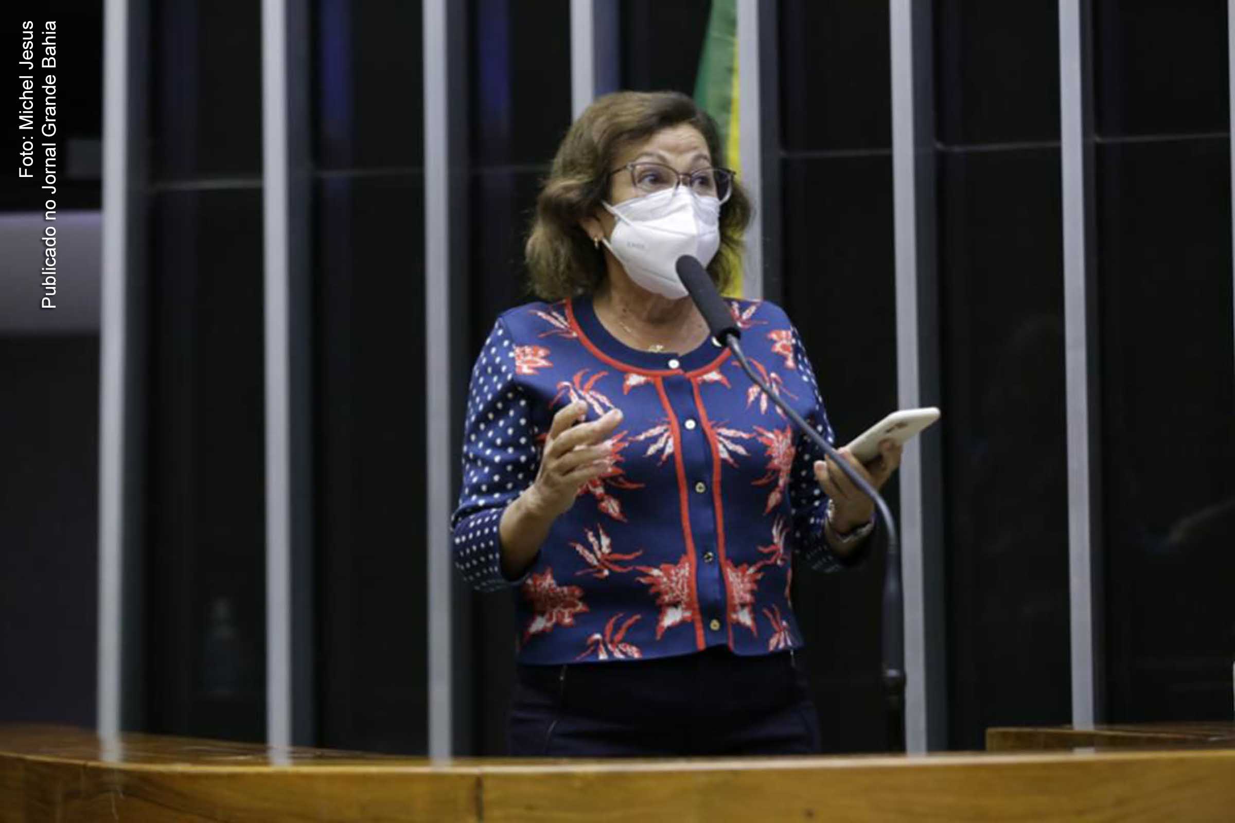 Lídice da Mata: O presidente tem um complexo de falta de responsabilidade.