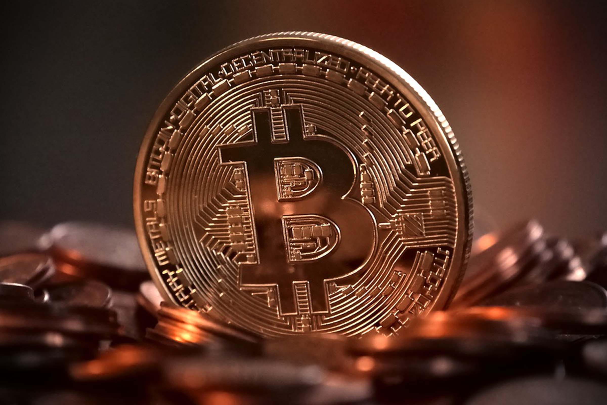 Empresas devem aceitar pagamento em bitcoin junto com dólar dos EUA.