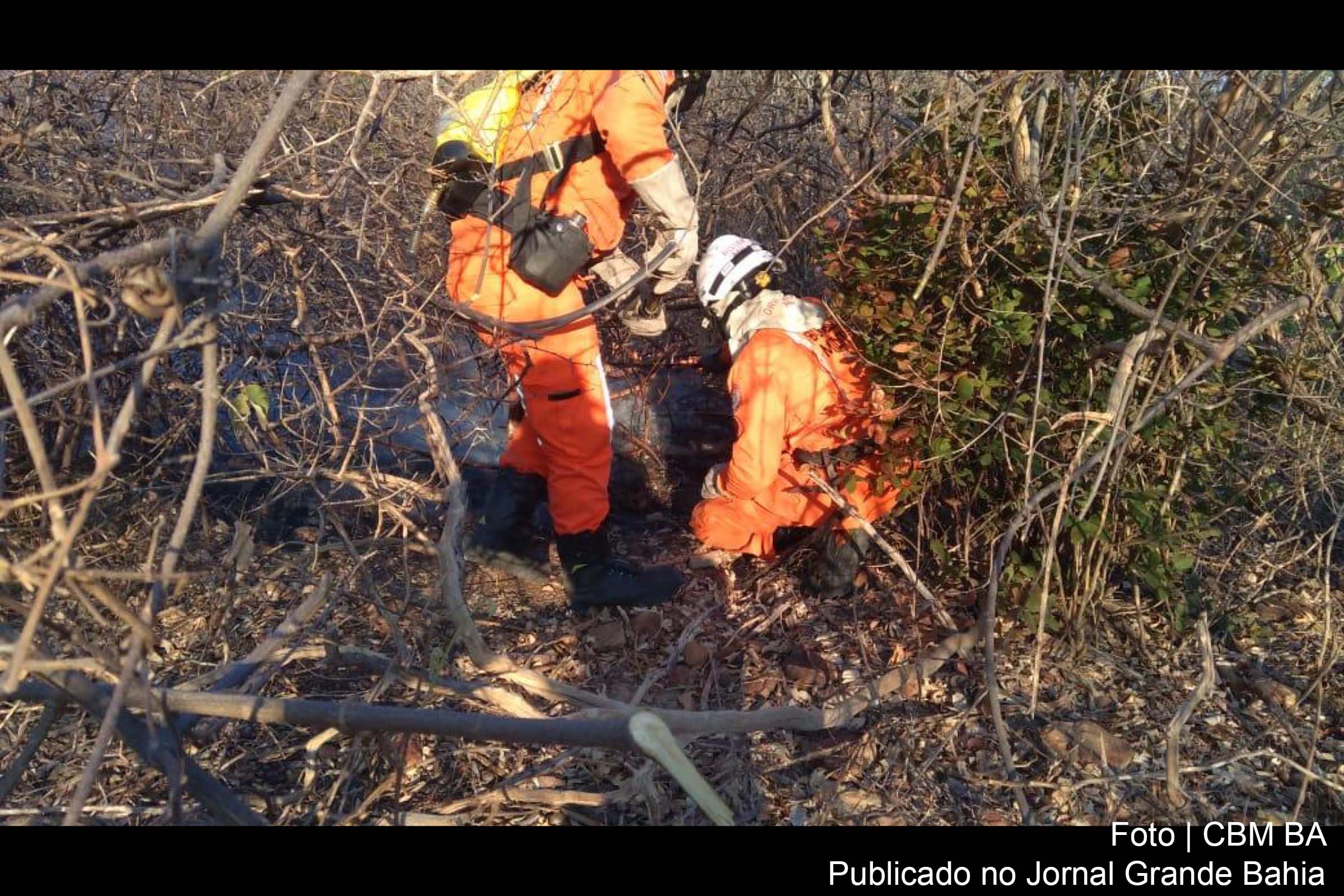 Instituto Nacional de Meteorologia (Inmet) chama a atenção para o grande perigo de ocorrência de incêndios florestais.