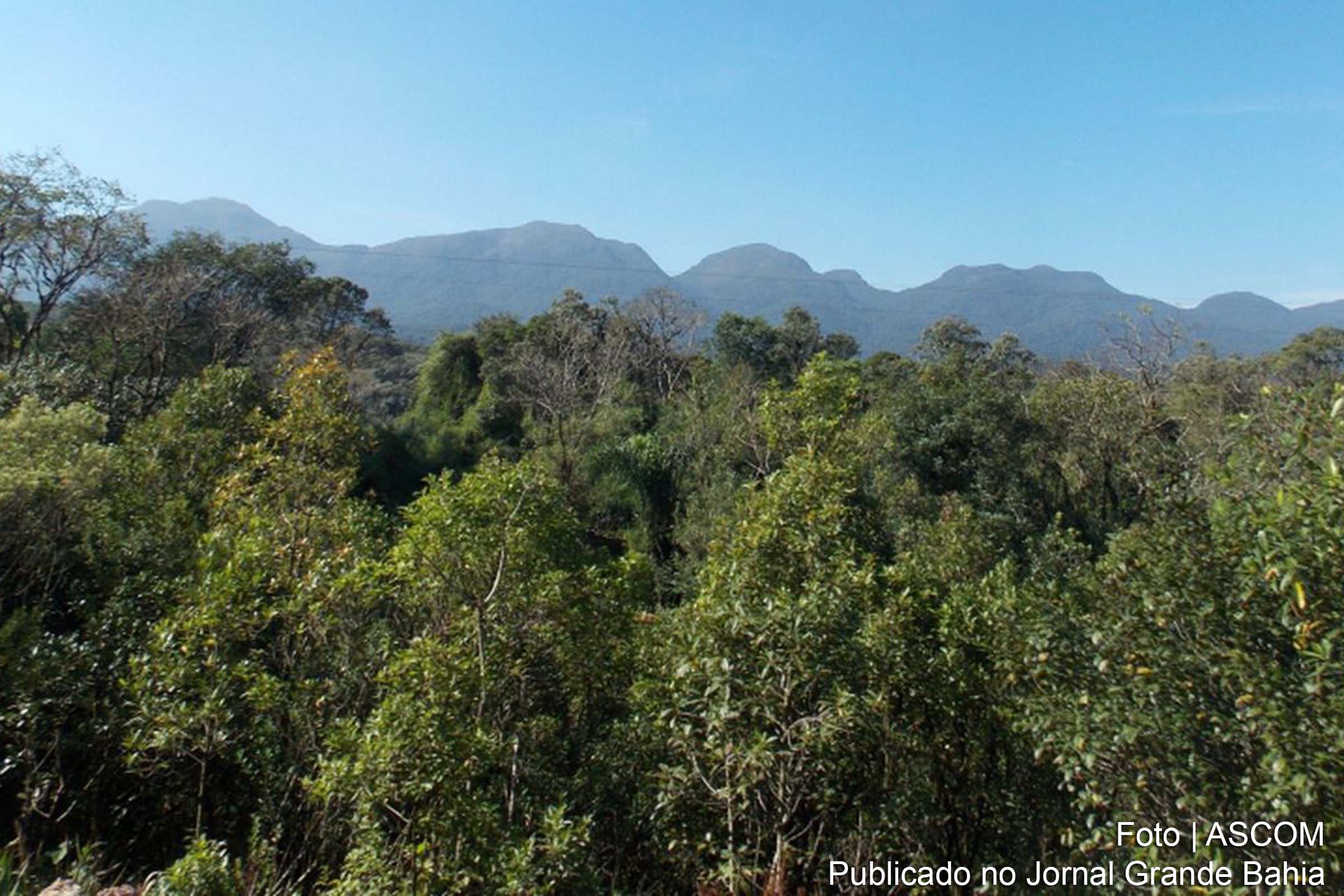 A iniciativa, voltada para o combate ao desmatamento e a recuperação de áreas degradadas, envolverá ações do Ministério Público em 17 estados.