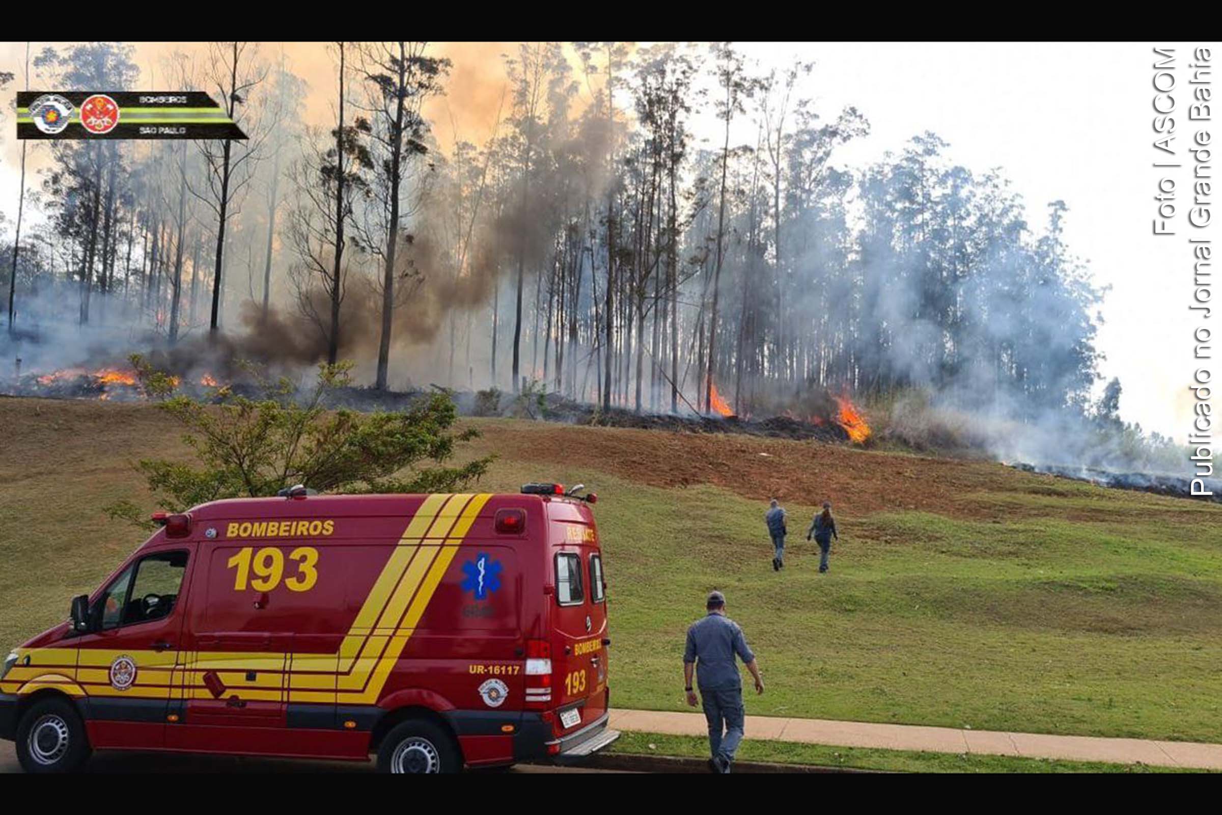 O acidente ocorreu na manhã desta terça-feira (14/09/2021), em um bosque da região.