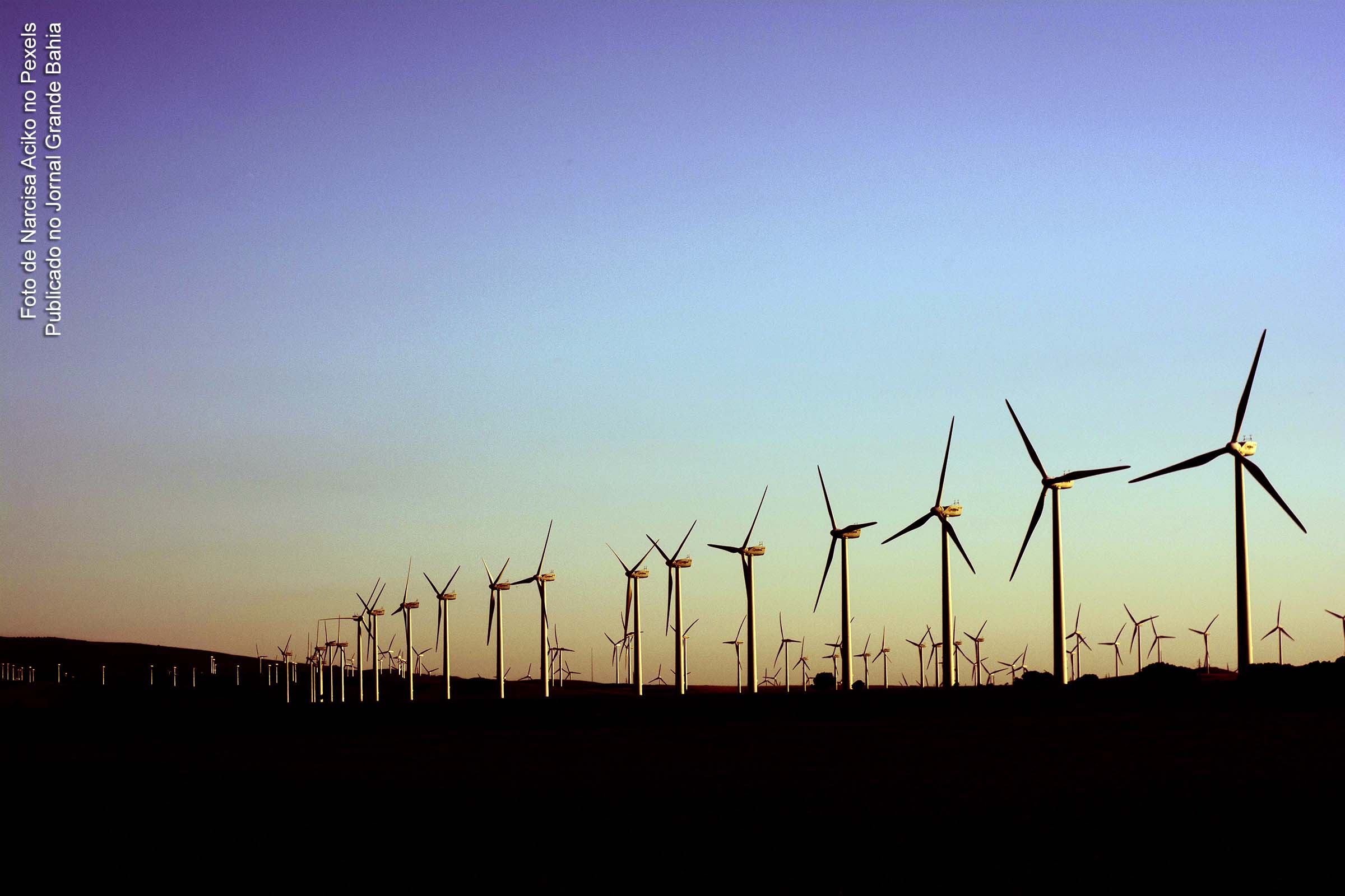 Renova Energia diz que Aneel acatou recurso sobre parque eólico na Bahia