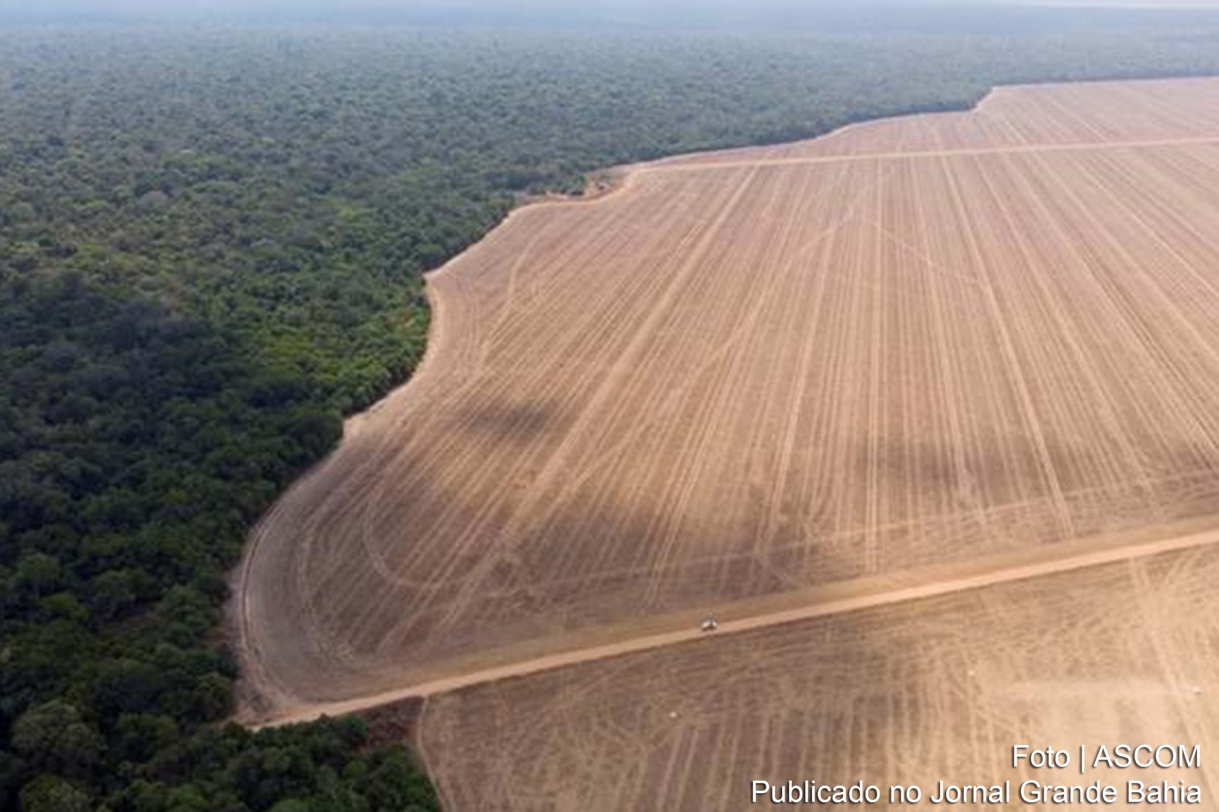 Desmatamento impulsiona emissões de CO2 no Brasil em 2020; Falhas do Governo Bolsonaro impulsionam degradação ambiental e contribuem para aquecimento global
