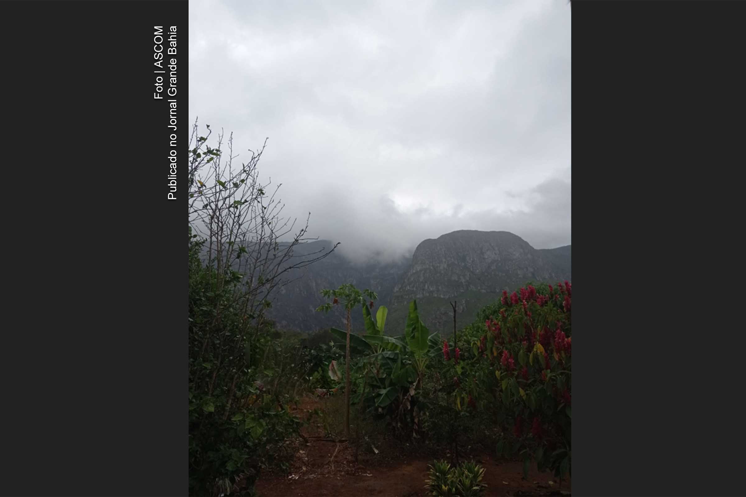 Incêndios florestais: Chuvas no interior da Bahia diminuem focos de calor