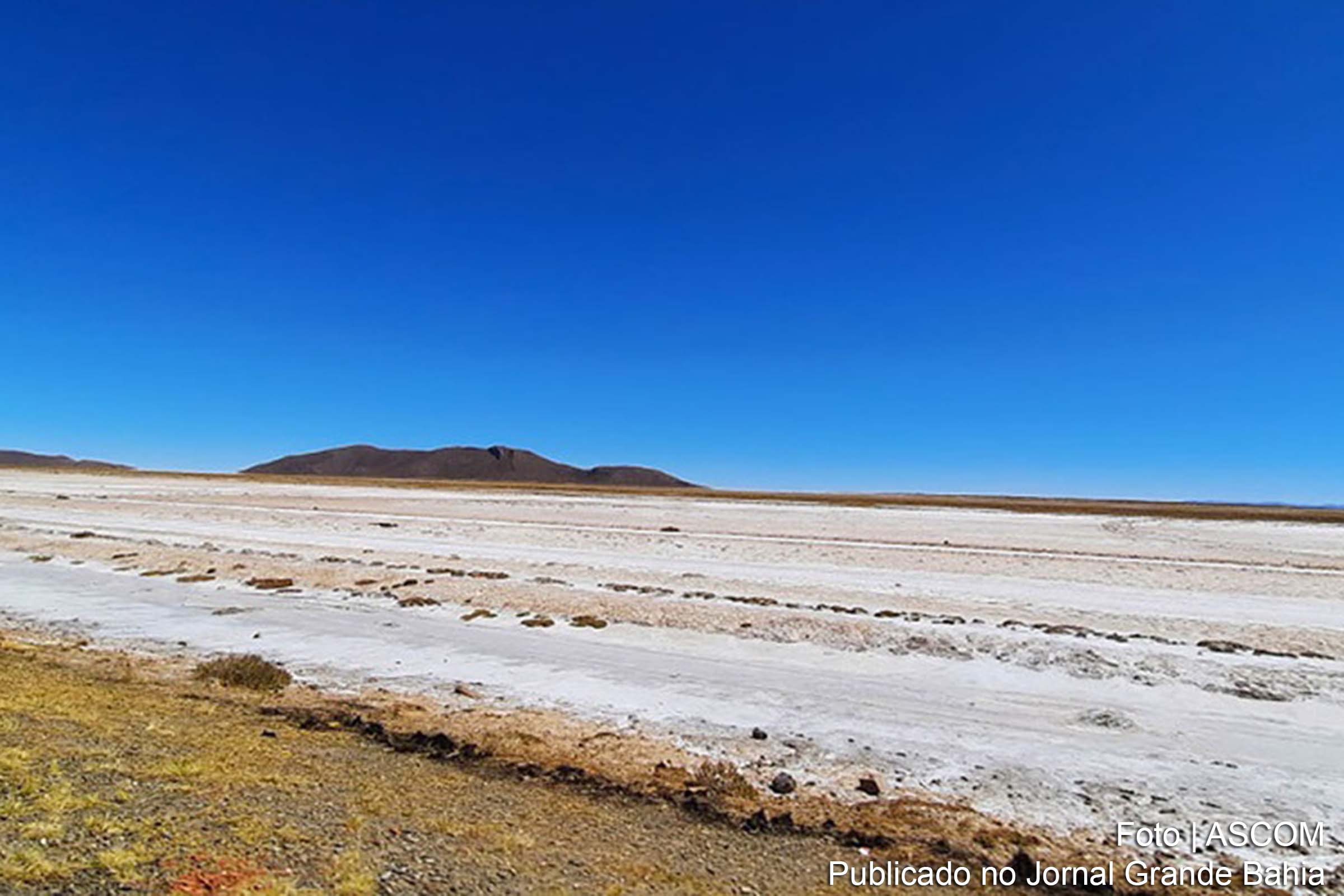 Alerta é da FAO, que organiza encontro internacional virtual sobre o assunto. Mais de 1 milhão de hectares de solos no mundo todo contêm muito sal, sendo impossível qualquer tipo de plantio, ameaçando segurança alimentar.