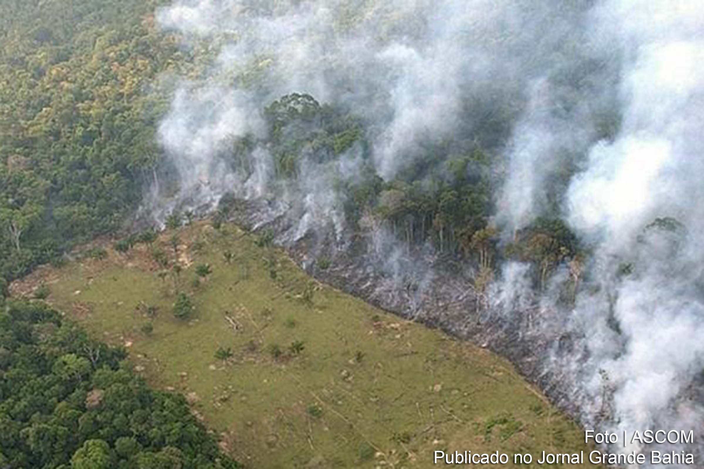 Região desmatada no estado brasileiro do Amazonas.