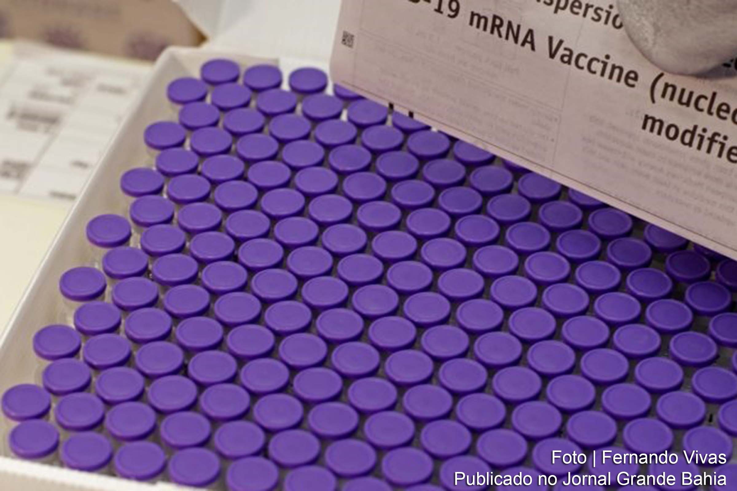Imunizante da Pfizer contra a Covid-19 é distribuído pela SESAB.
