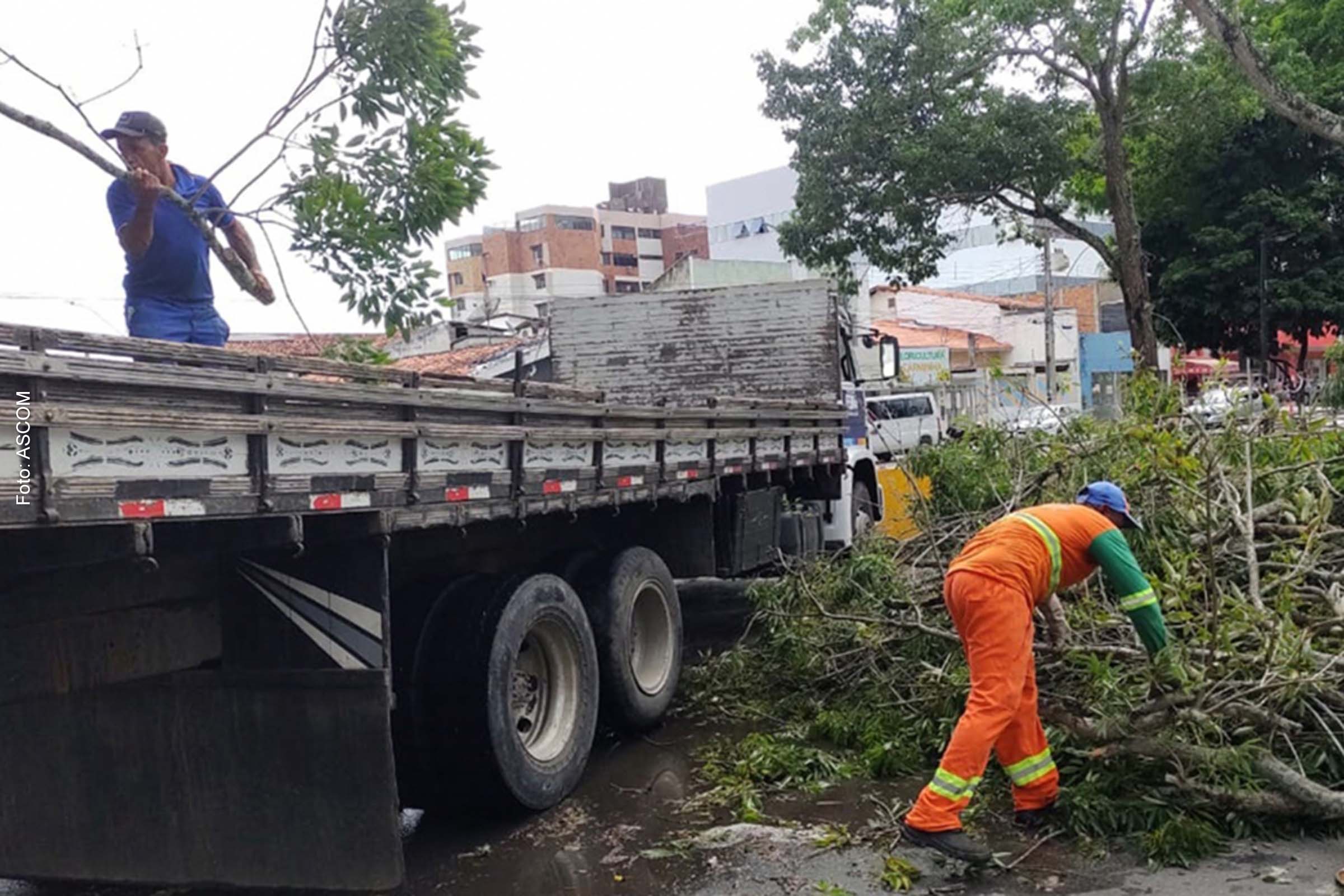 Fortes chuvas derrubam árvores e causa transtornos em Feira de Santana, informa Governo Colbert Martins