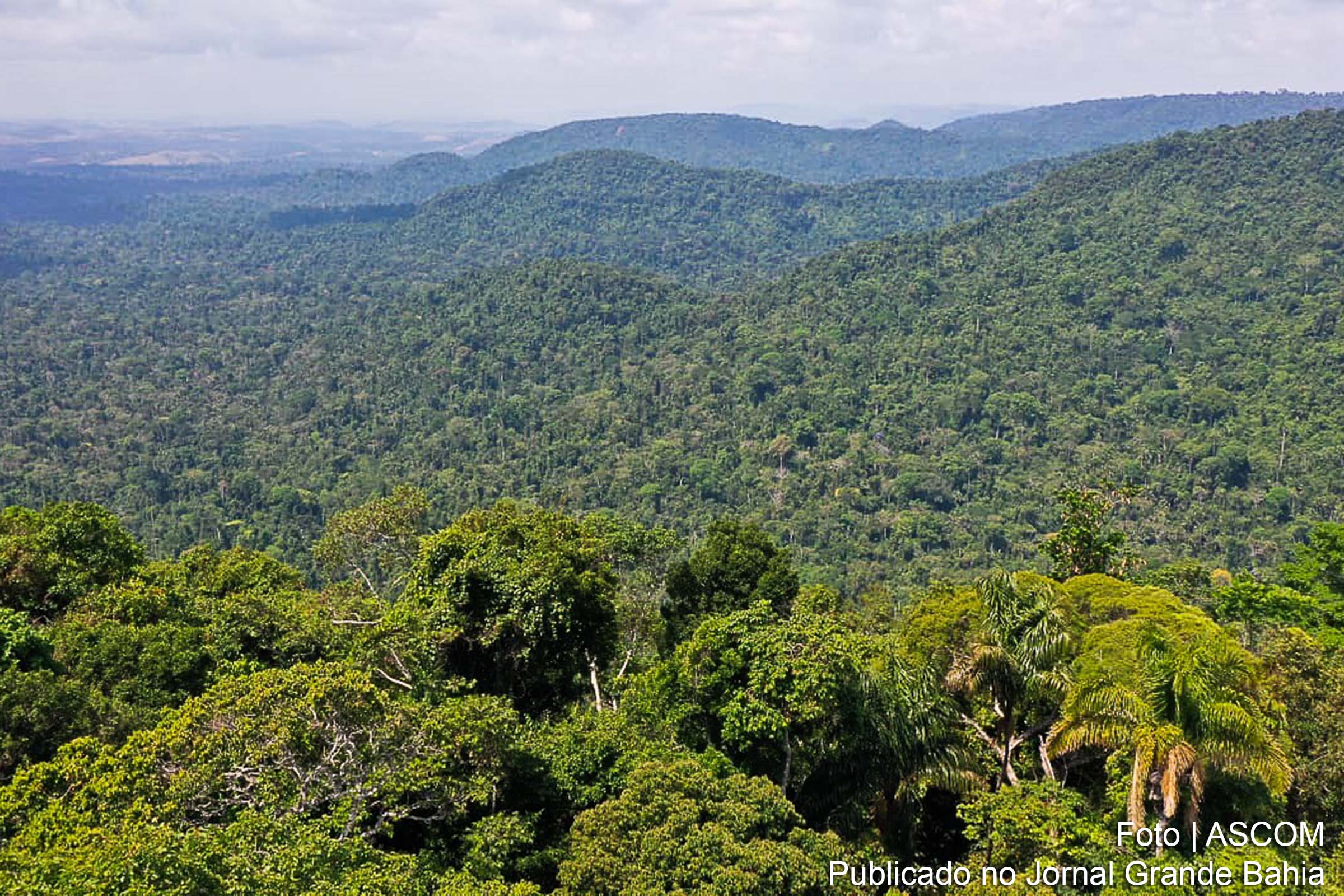 Vista panorâmica de trecho da Amazônia Legal Brasileira (ALB).