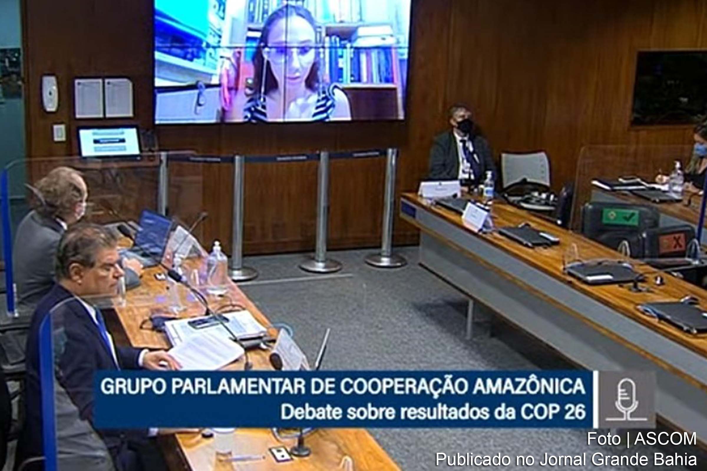 O presidente do grupo, senador Nelsinho Trad (PSD-MS), disse que a COP 26 permitiu a busca de uma agenda de consenso para a administração das mudanças climáticas.