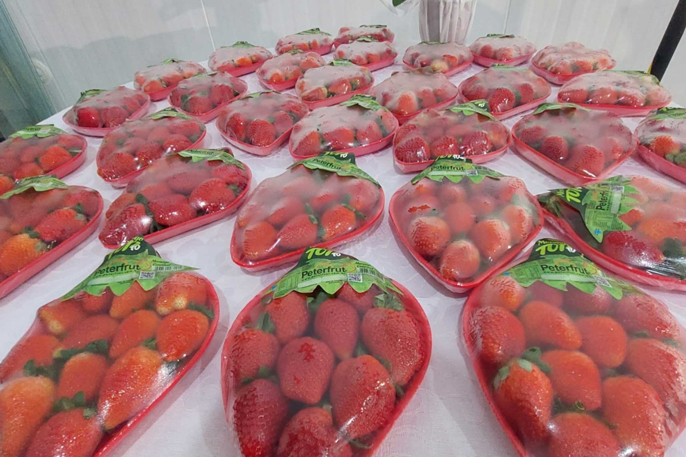 Projeto Mais Frutos no Sertão é uma iniciativa do Grupo Peterfrut e tem como objetivo estimular a produção de morangos em 13 municípios da Bahia.