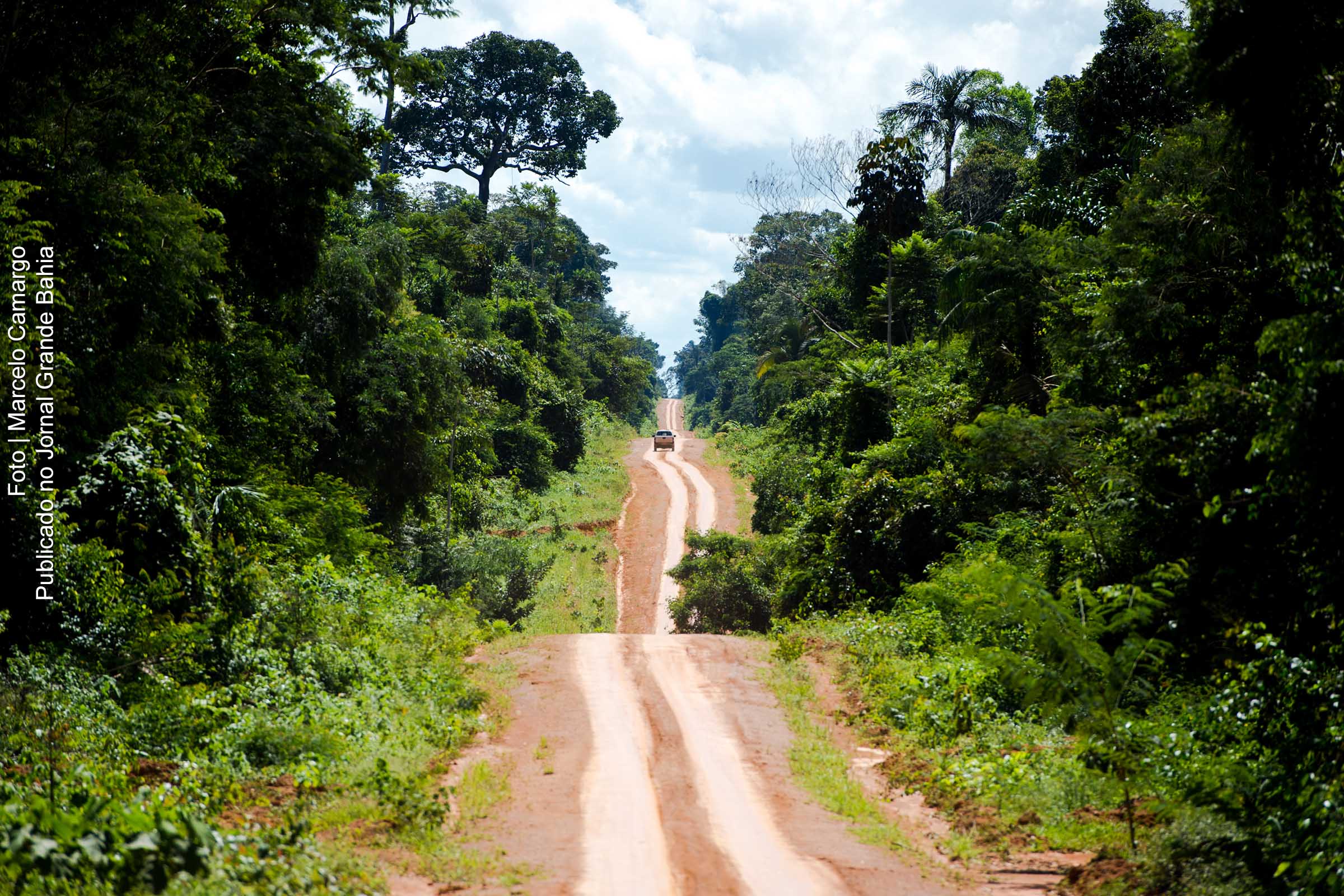 Vista parcial de terra indígena Kawahiva do Rio Pardo, em Mato Grosso.