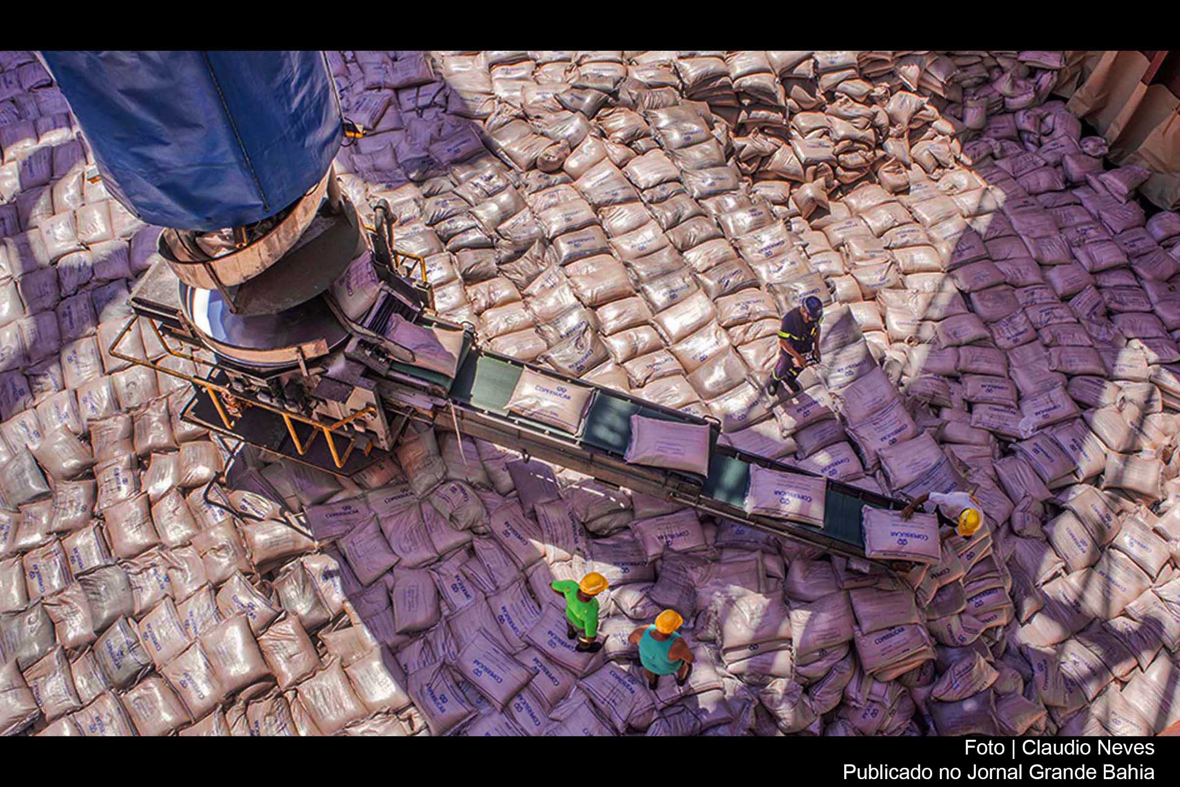 Produção agropecuária do Brasil apresenta bom desempenho em 2021.