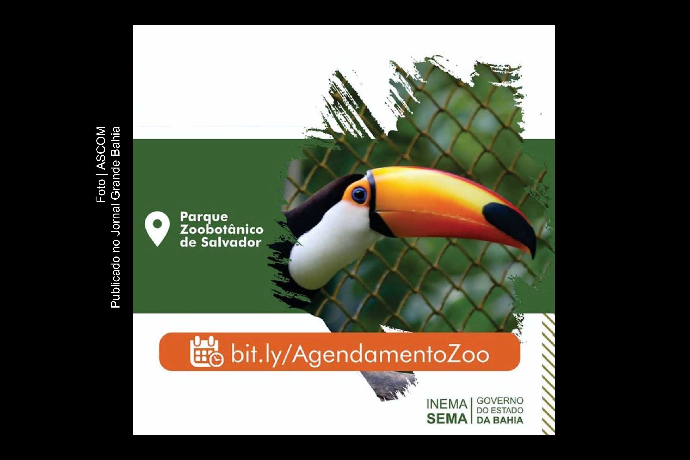 Em parceria com o BNDES, Governo do Estado lança consulta pública para concessão de parques e do zoológico de Salvador