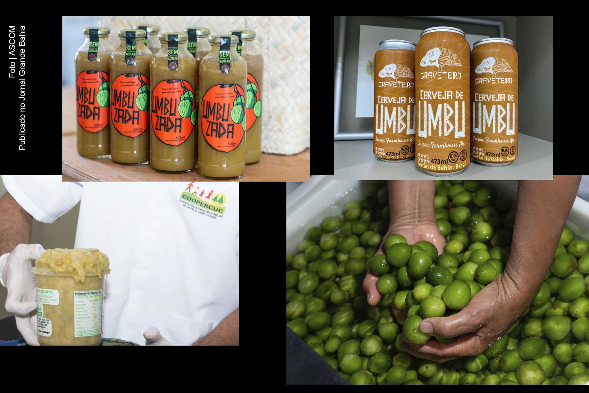 Bahia diversifica manufatura de produtos oriundos do umbu.