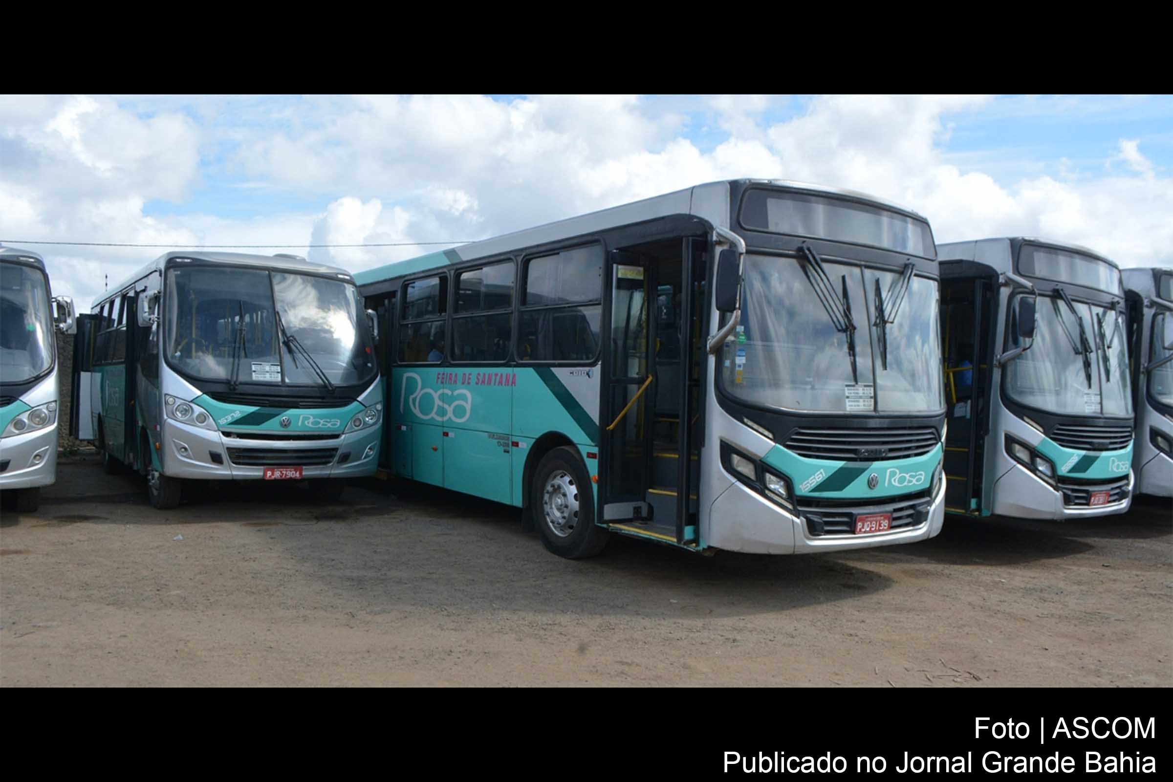 Parte da frota de ônibus da viação Rosa.