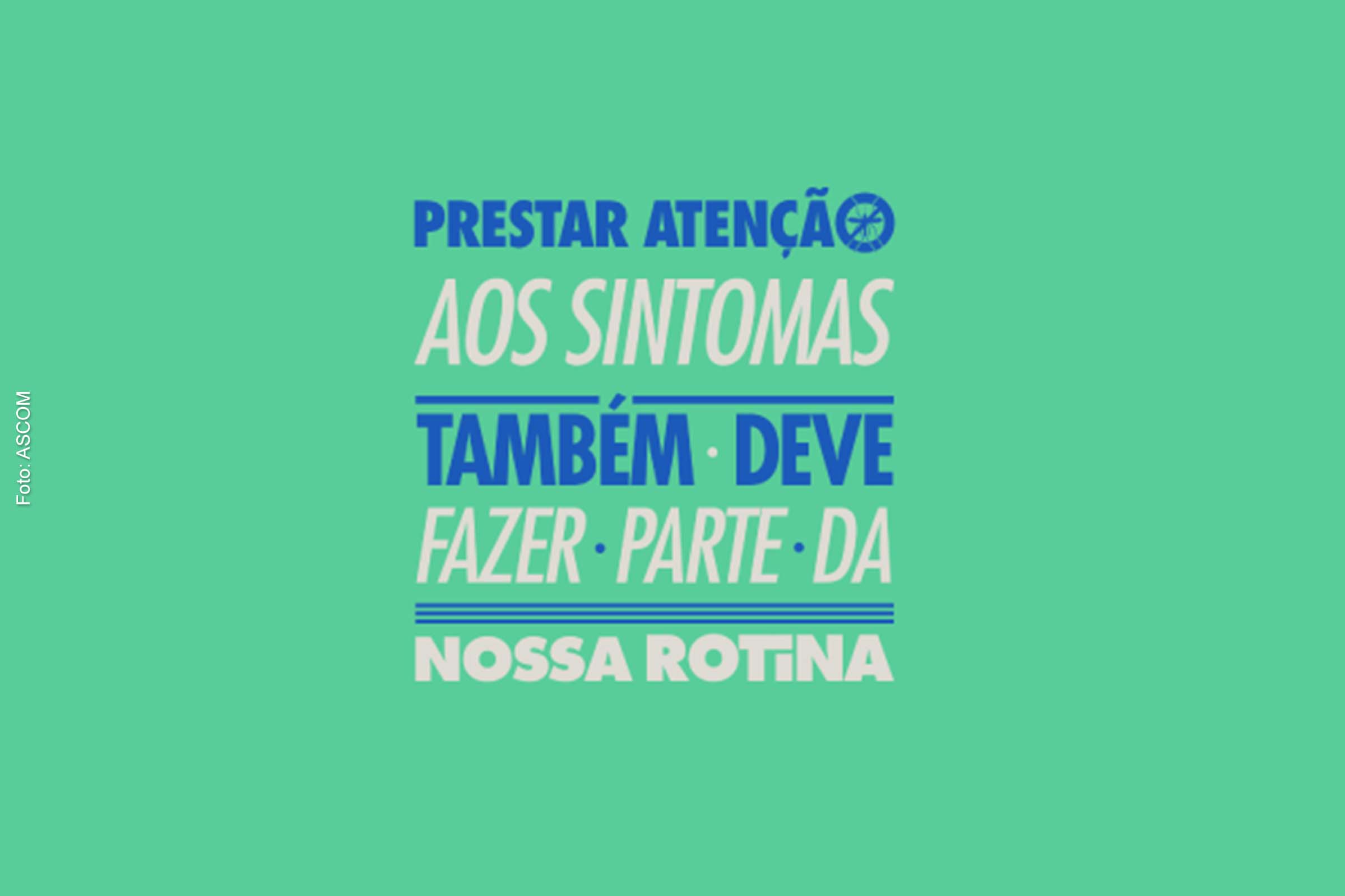Especialistas recomendam eliminar criadouros do mosquito.