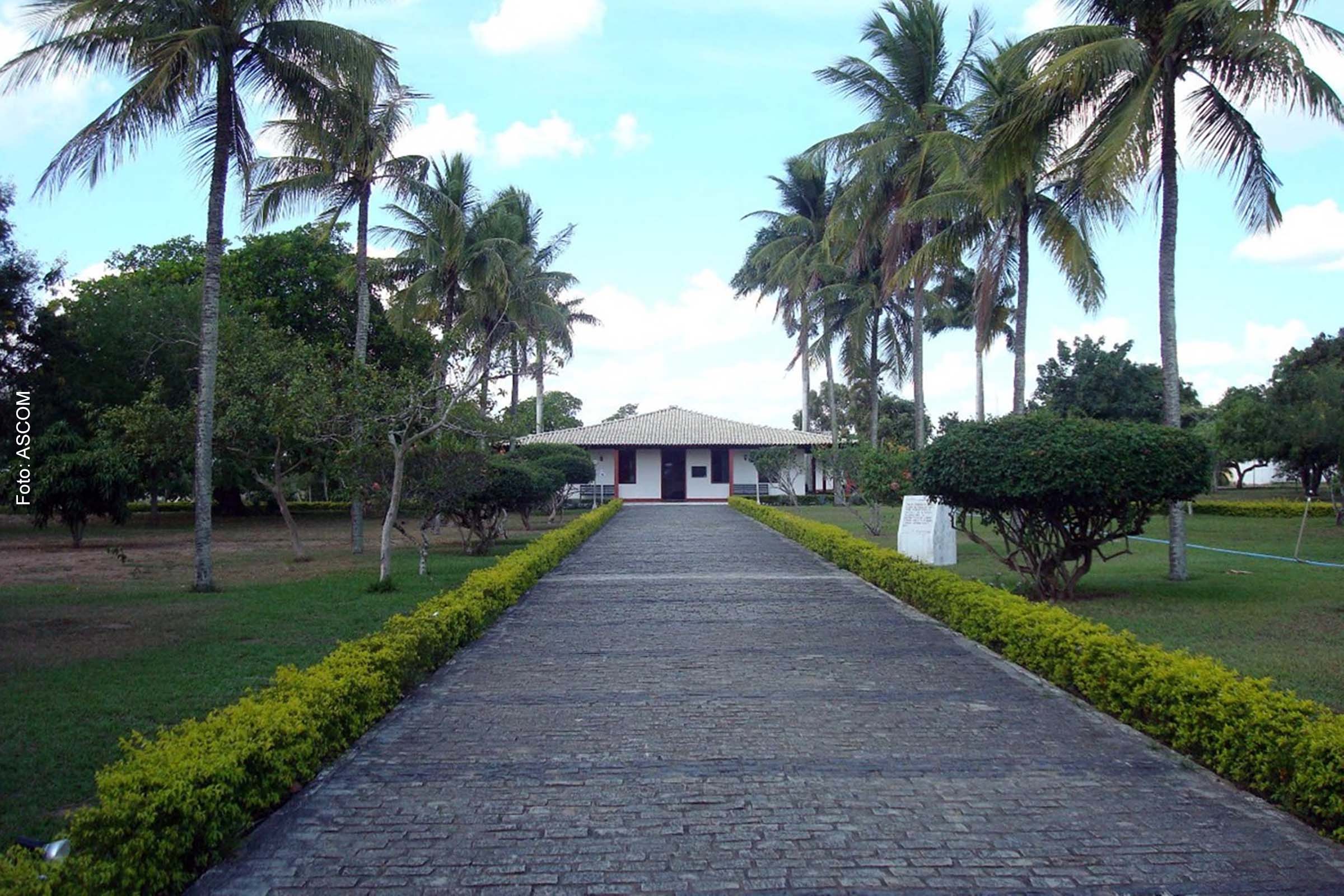De 11 a 14 de março de 2022, o município de Cabaceiras do Paraguaçu sediara o primeiro Festival Literário Internacional do Paraguaçu, a FLIPA.