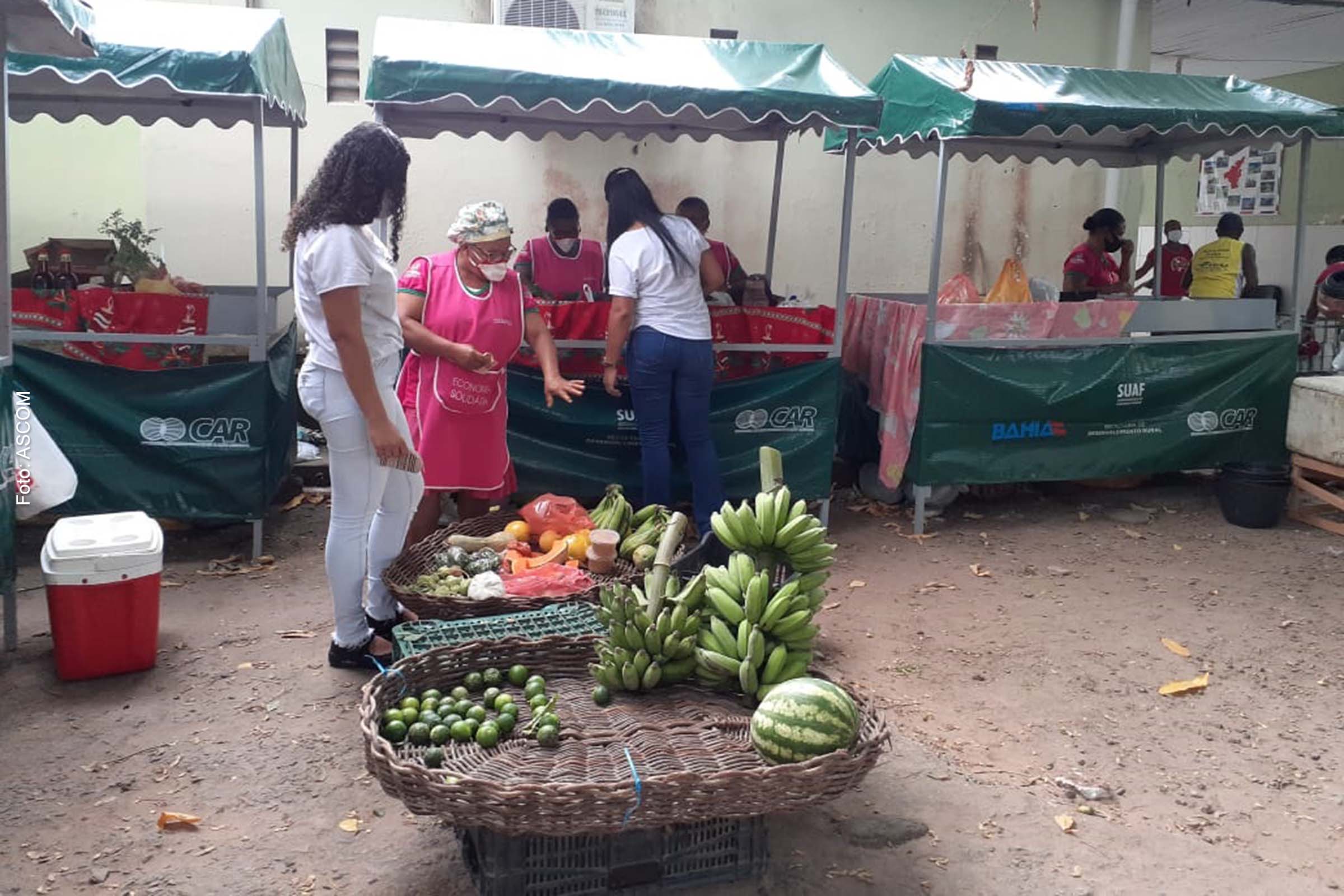 Em Valença, no território Baixo Sul, a cooperativa organiza a Feira da Agricultura Familiar todas às sextas-feiras, no pátio do SETAF.