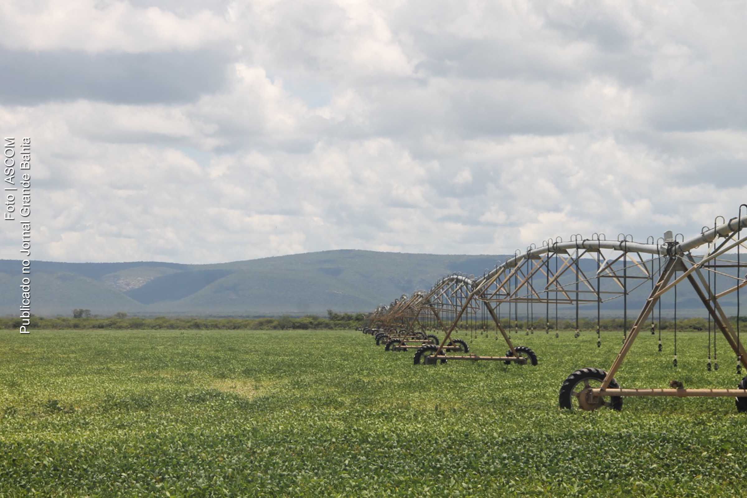 Propriedade rural situada no Polo Agroindustrial do São Francisco.