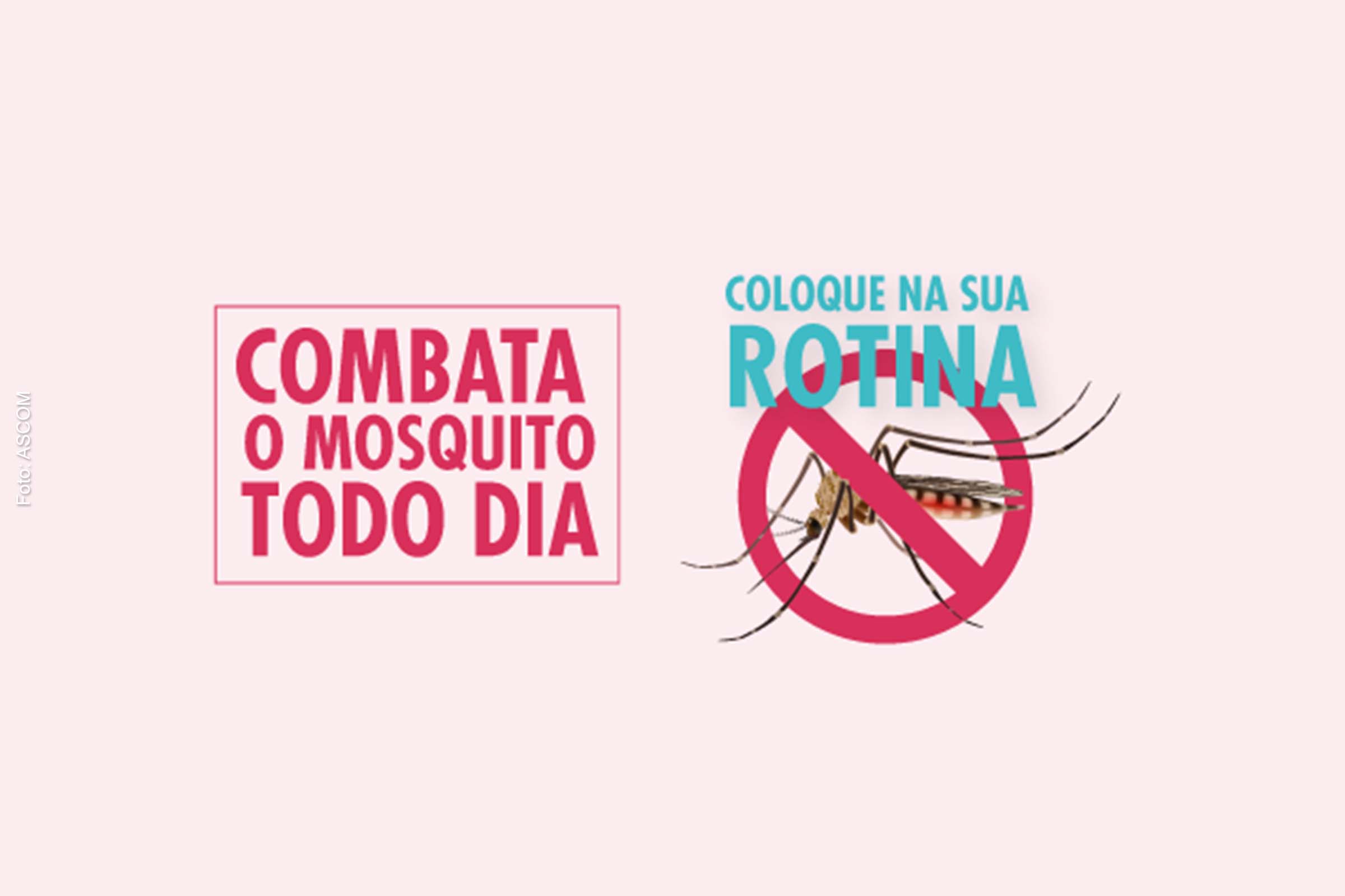 Devido às altas temperaturas e às chuvas abundantes, o verão é o período do ano em que os ovos eclodem e acarretam o aumento de infecção por dengue, chikungunya e zika.