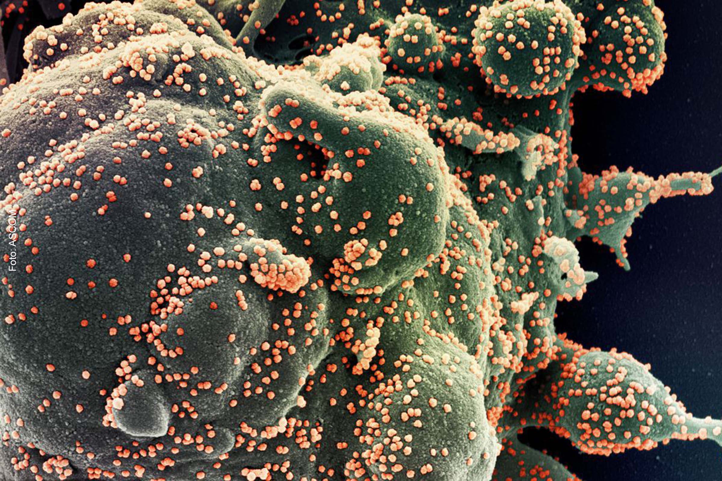 Apesar da manutenção do cenário de queda na população em geral, o boletim indica que a incidência de casos em crianças aumentou significativamente.