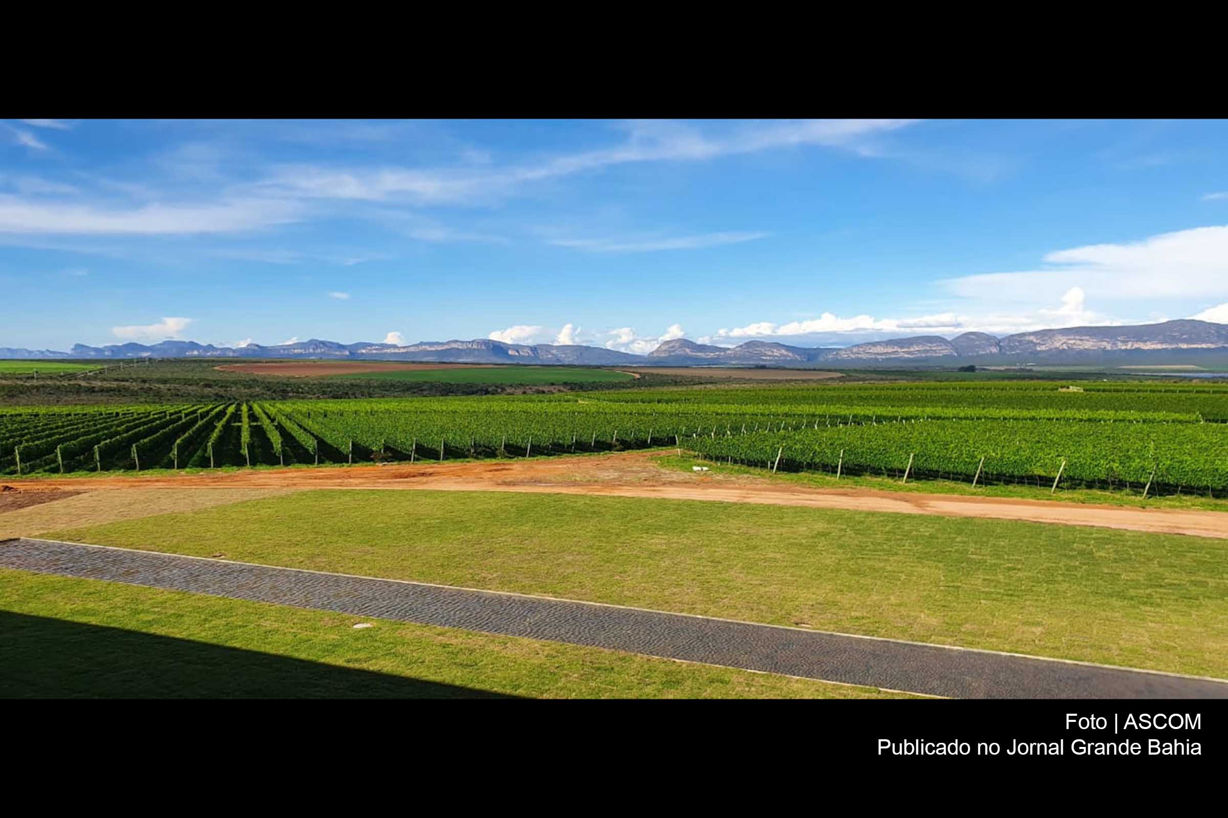 UVVA traz força para a viticultura da Bahia, diz vice-governador João Leão; Empresa inaugura vinícola na Chapada Diamantina