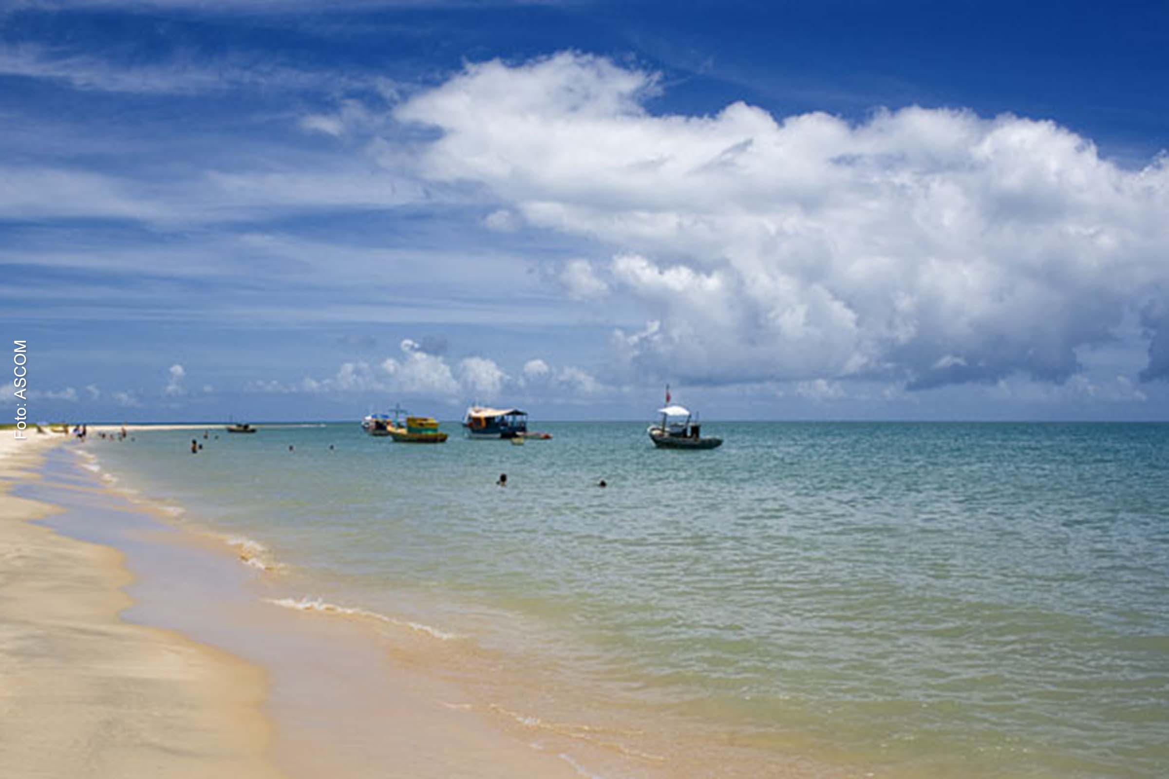 Expectativa é coletar pelo menos 50.000 garrafas de vidro em um mês de ação.