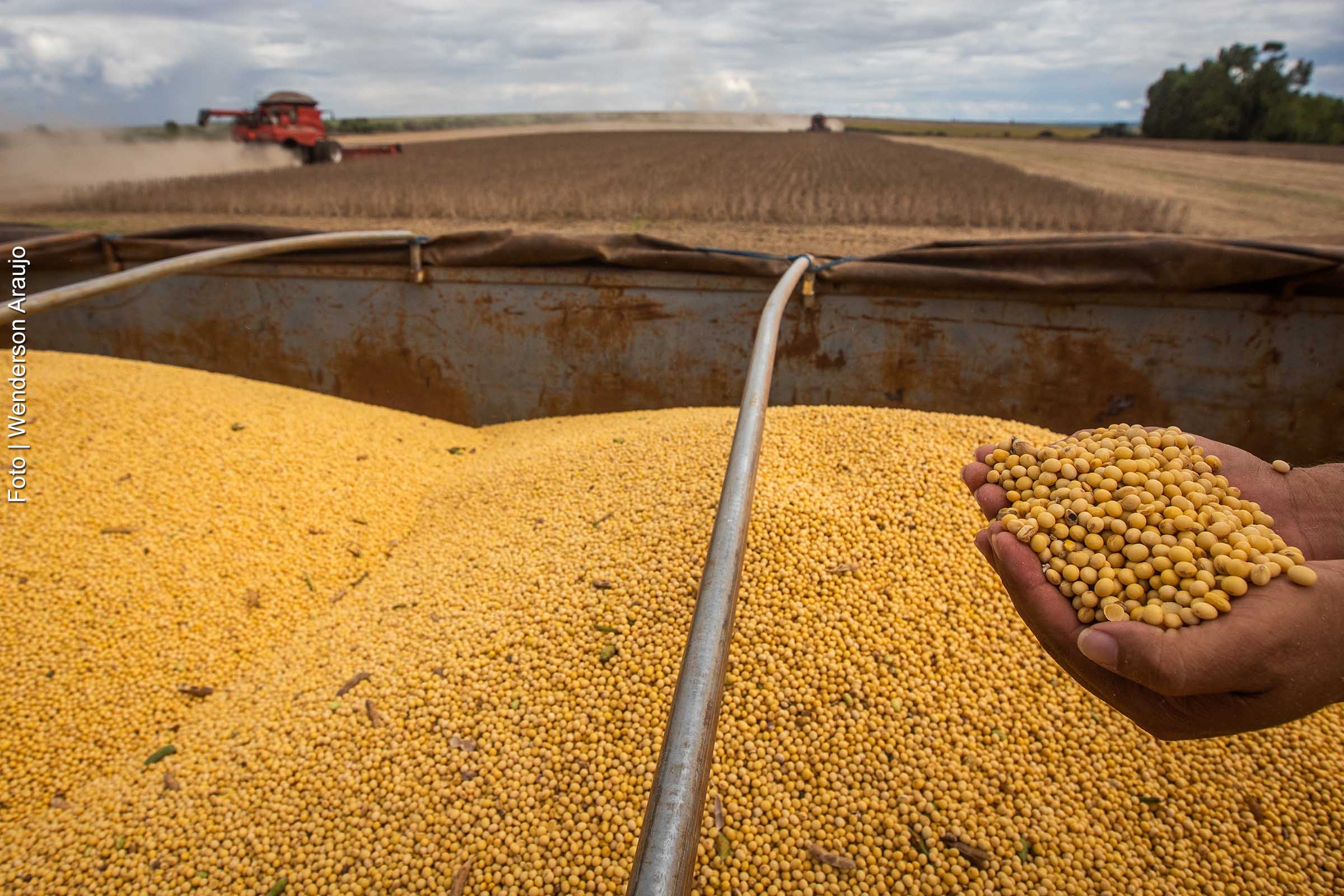 Produção agrícola da Bahia recebe investimento federal.