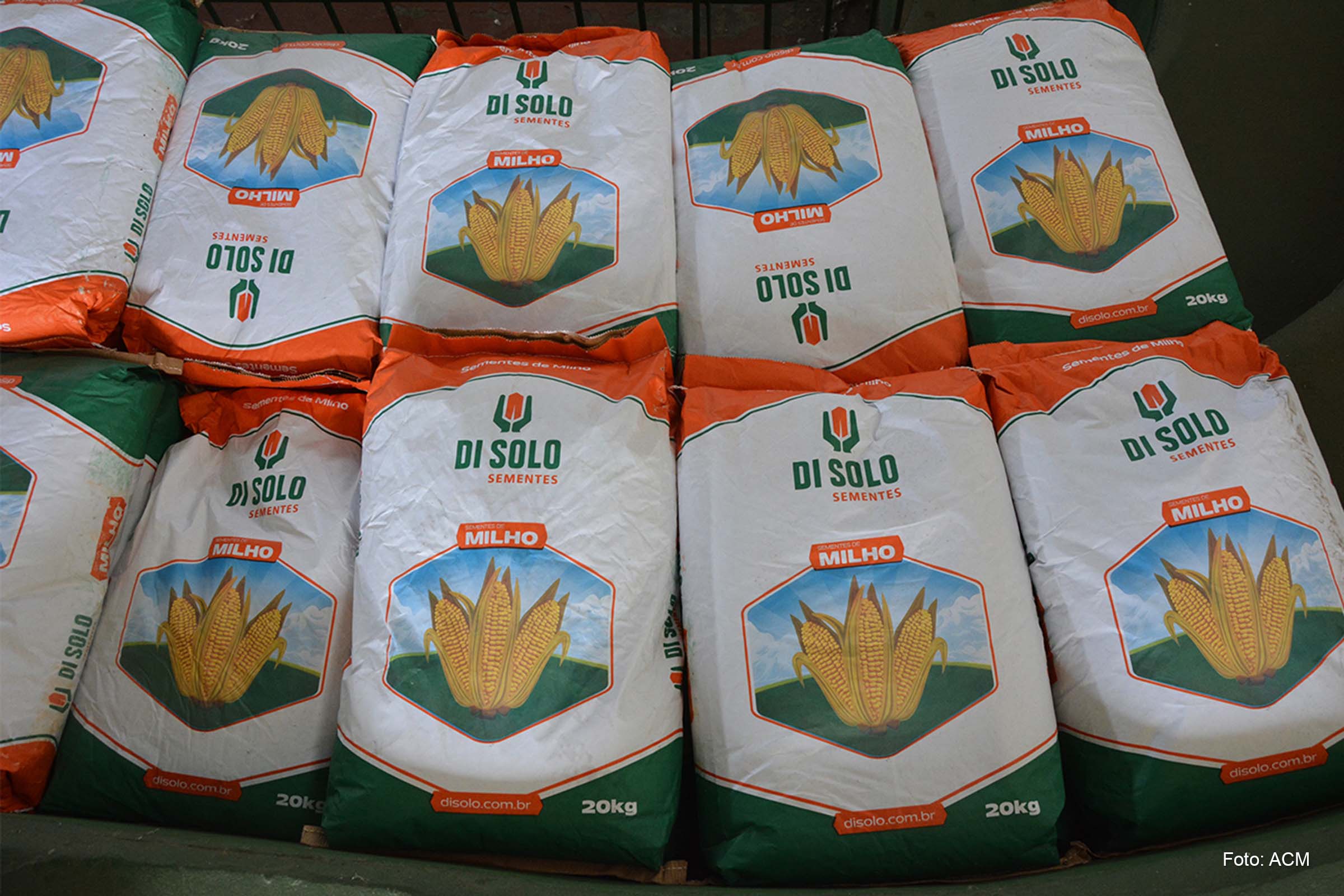 Prefeitura de Feira de Santana vai distribuir 90 toneladas de sementes de milho e feijão