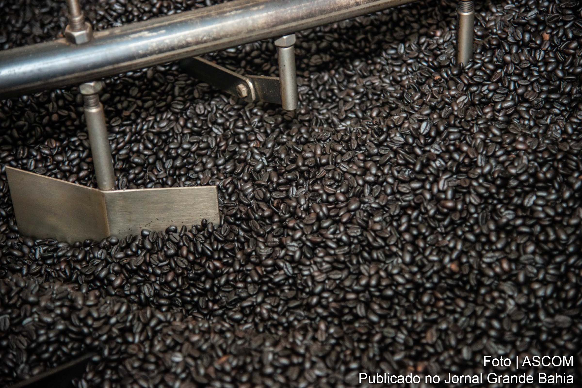 Agricultura familiar da Bahia comemora ‘Dia Mundial do Café’ com valorização do produto