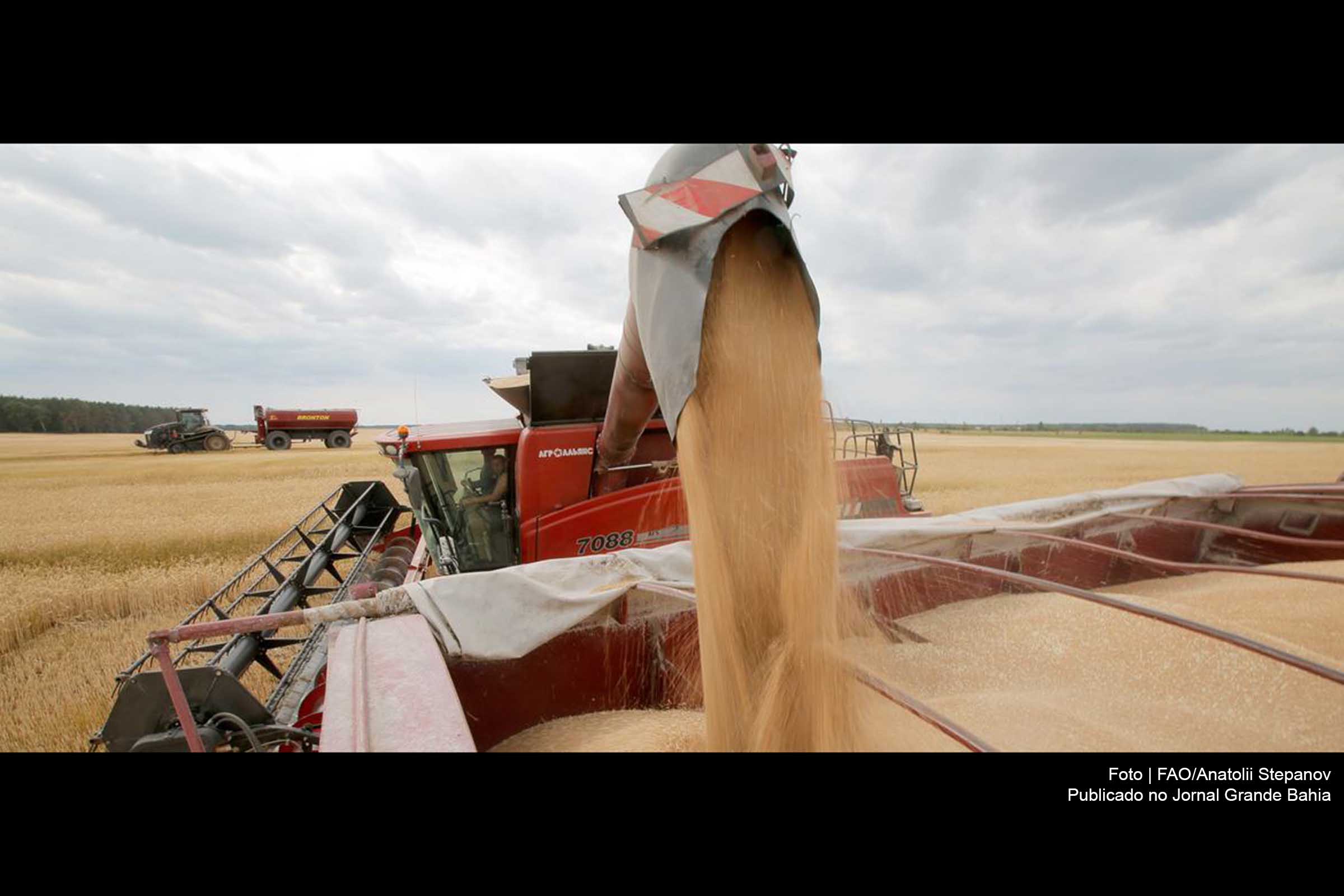 Índice do Preço dos Alimentos da FAO chegou a 159.3 pontos em março, uma alta de 12,6% se comparado ao mesmo período de fevereiro, um outro mês de recorde desde a criação do Índice em 1990.