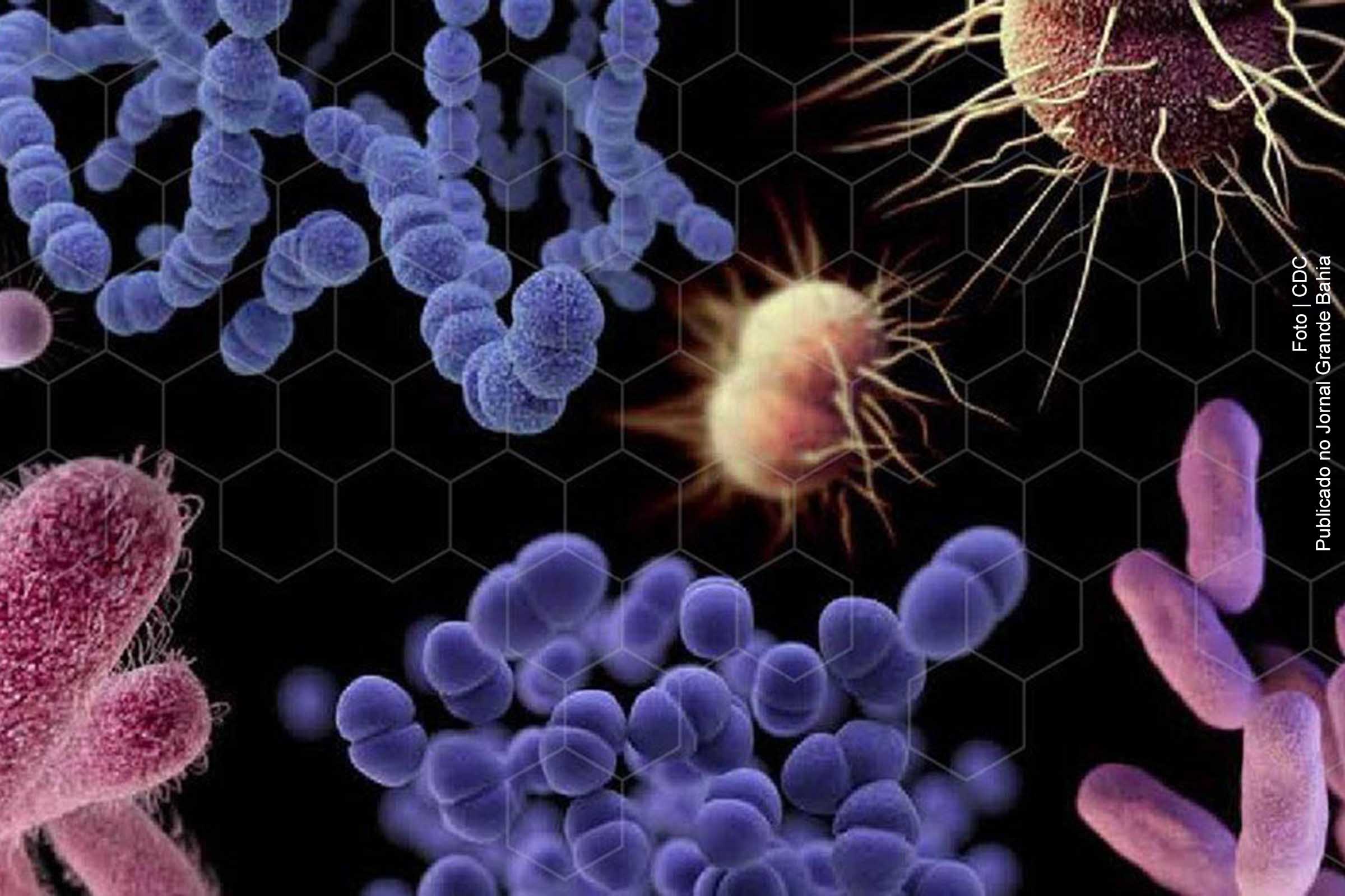 Nova pandemia pode ser causada por superbactérias em águas sem tratamento, alerta Pnuma