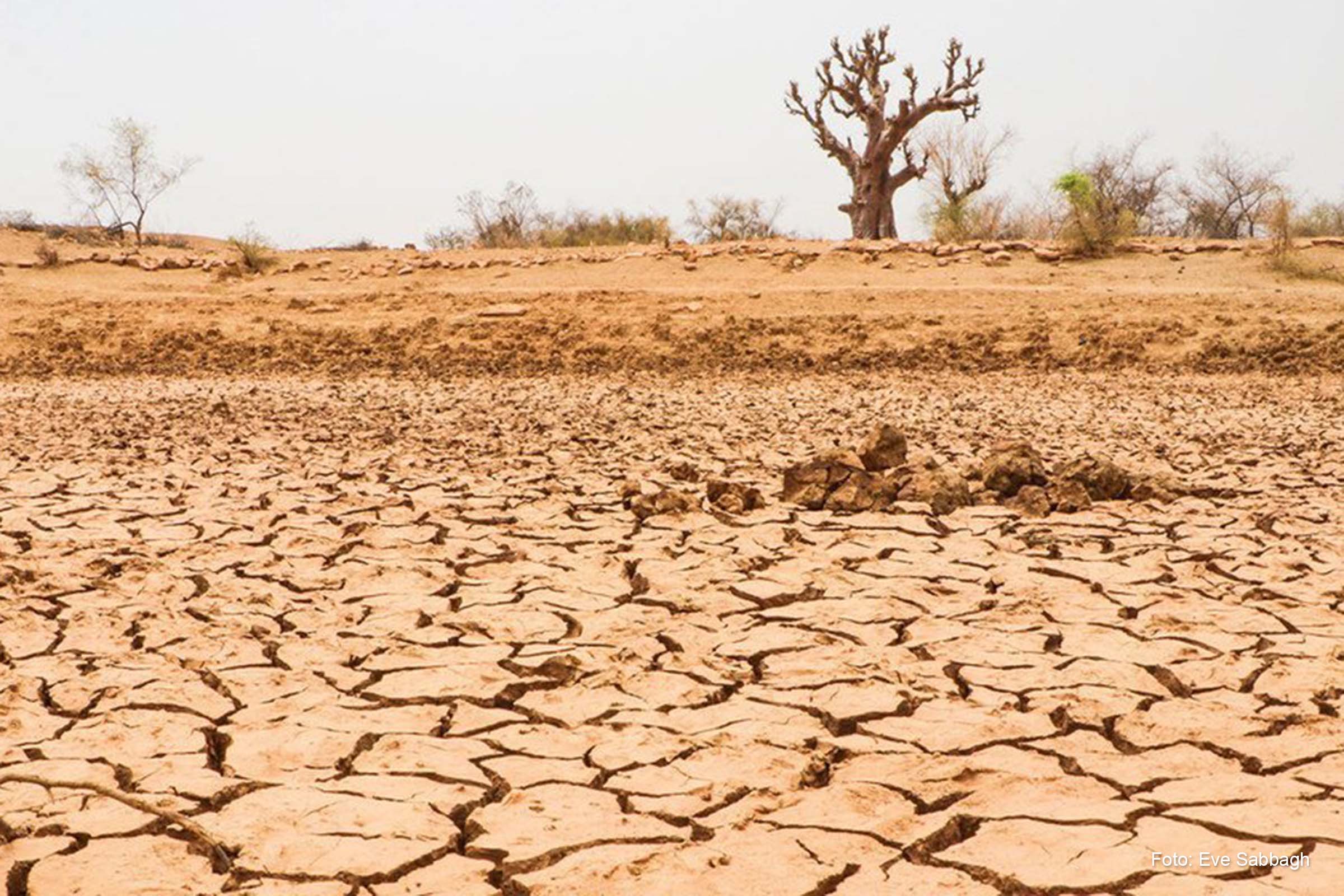Comparação entre duas décadas mostra desaceleração de 0,8%, mas montante não foi suficiente para conter disparada.