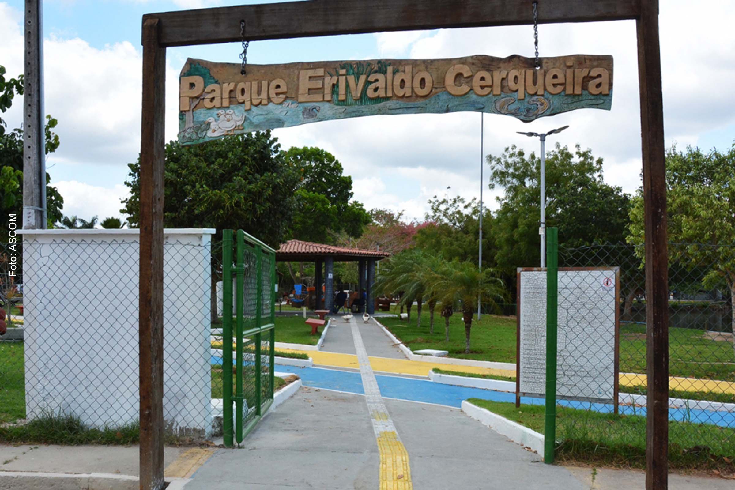 Tilápia pesando pouco mais de 600 gramas foi o primeiro peixe retirado da Lagoa do Geladinho, no Parque Radialista Erivaldo Cerqueira, em Feira de Santana.